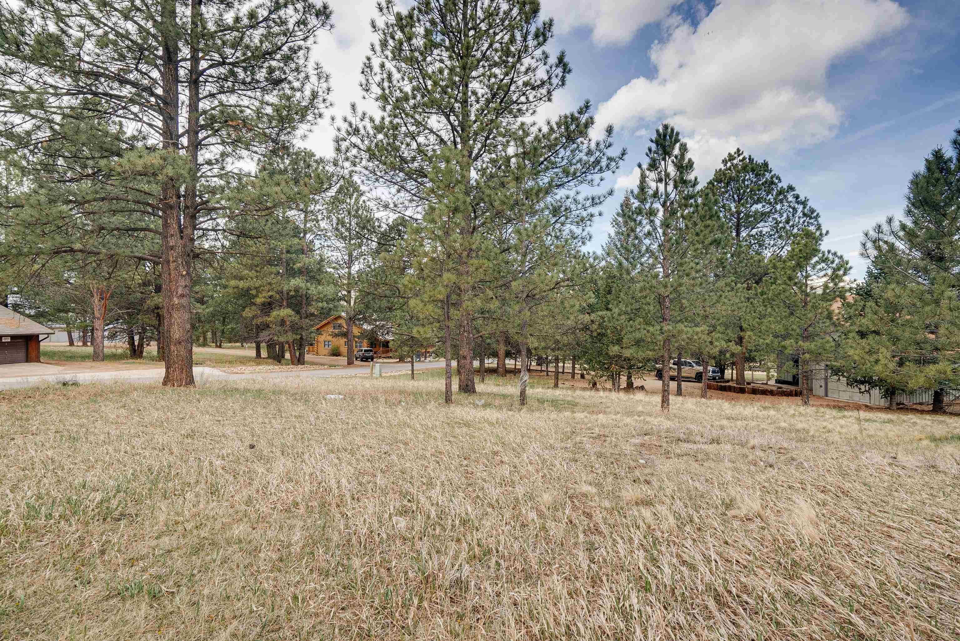 Lot 20 Mammoth Mountain Road, Angel Fire, New Mexico image 7