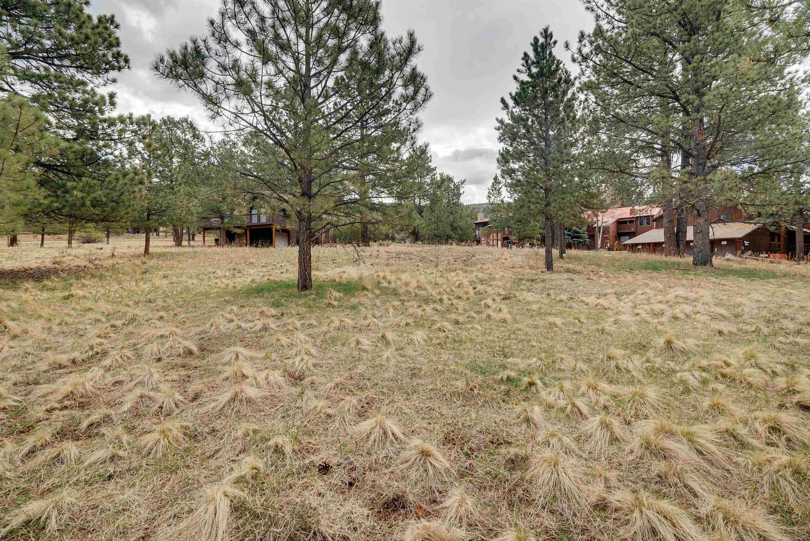 Lot 20 Mammoth Mountain Road, Angel Fire, New Mexico image 4