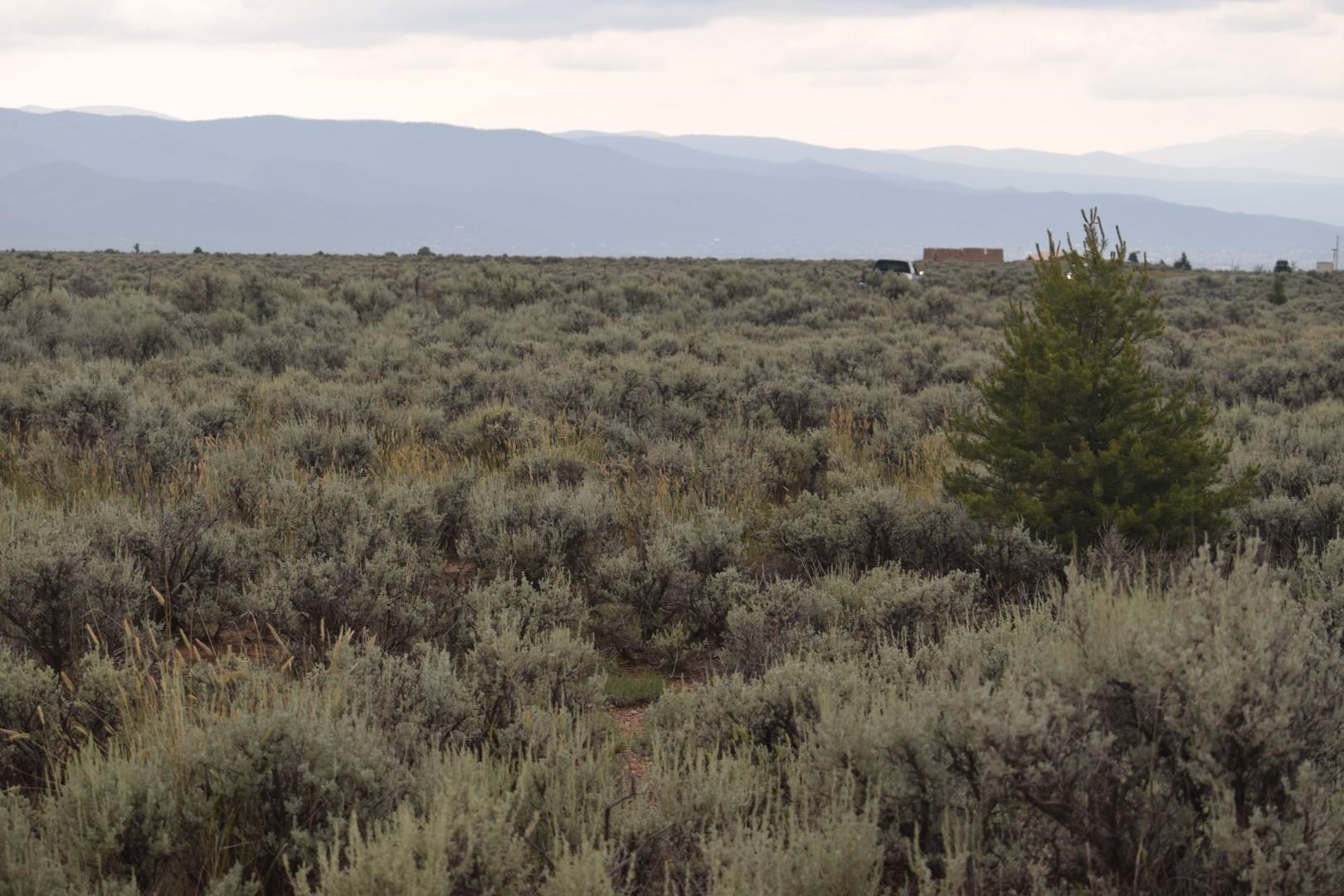 Nm 150, El Prado, New Mexico image 3