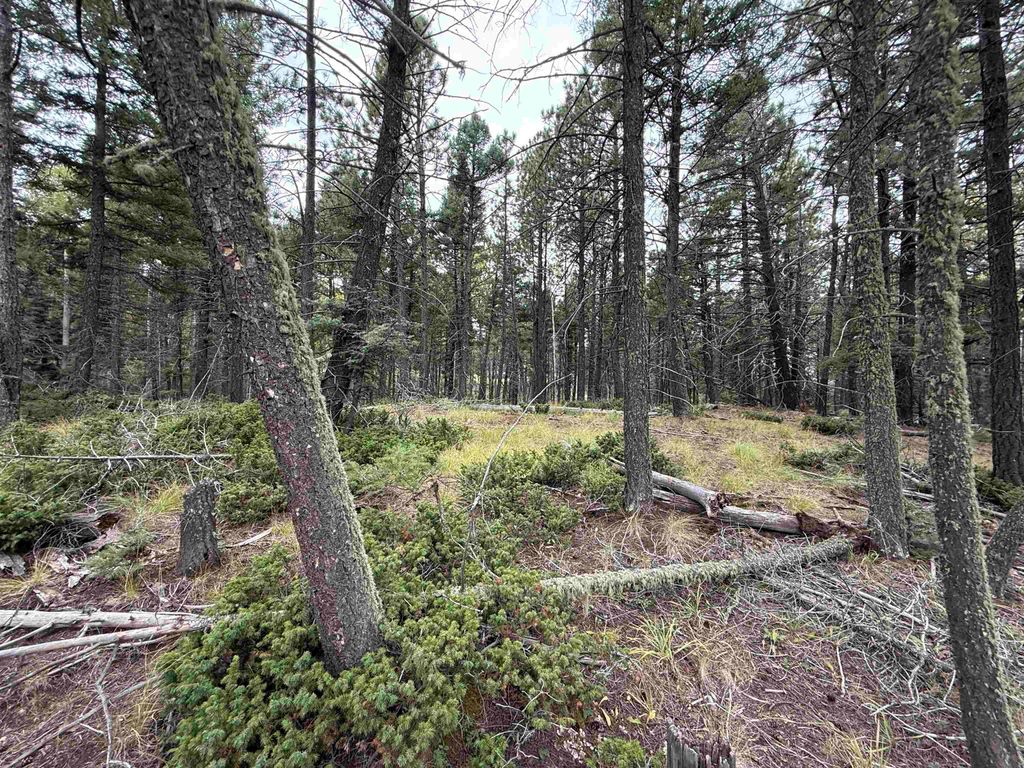 Photo of Lot 174 Snowbird Ln, Angel Fire, NM 87710 (MLS # 114051)