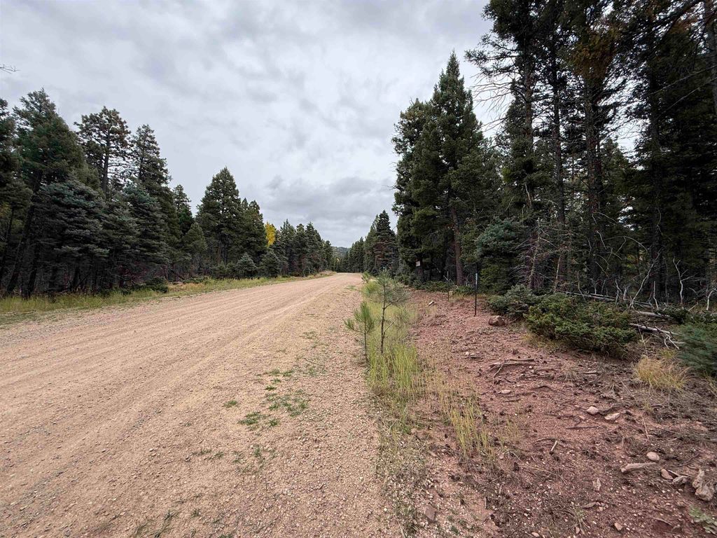 Photo of Lot 174 Snowbird Ln, Angel Fire, NM 87710 (MLS # 114051)