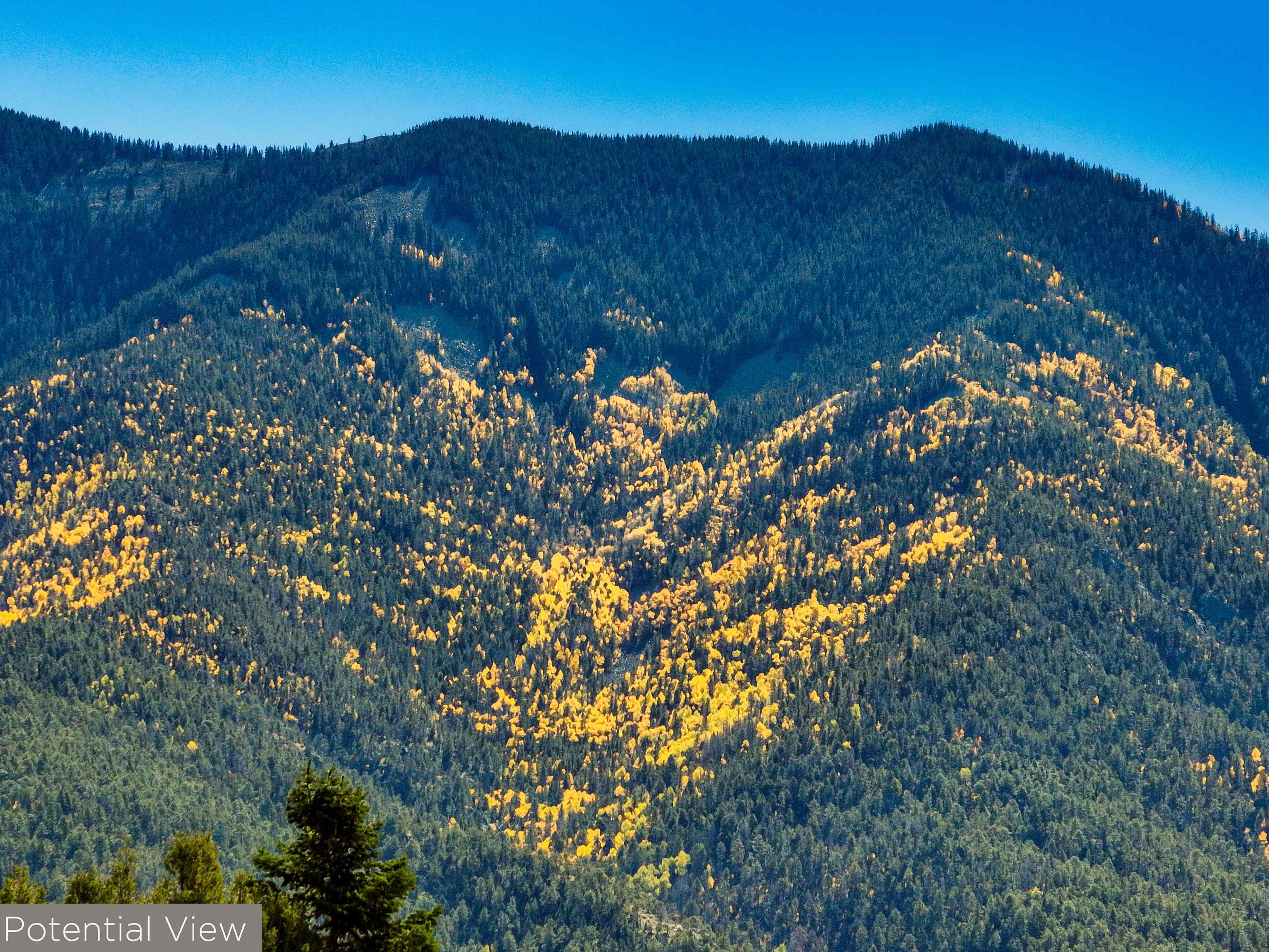 Arroyo Seco, New Mexico 87514, United States, 4 Bedrooms Bedrooms, ,4 BathroomsBathrooms,Residential,Active,224198