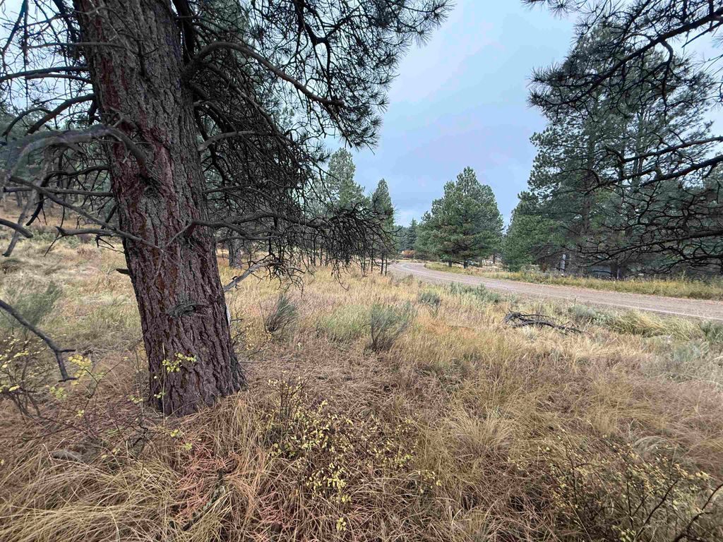 Photo of Lot 83 Alta Rd, Angel Fire, NM 87710 (MLS # 114249)