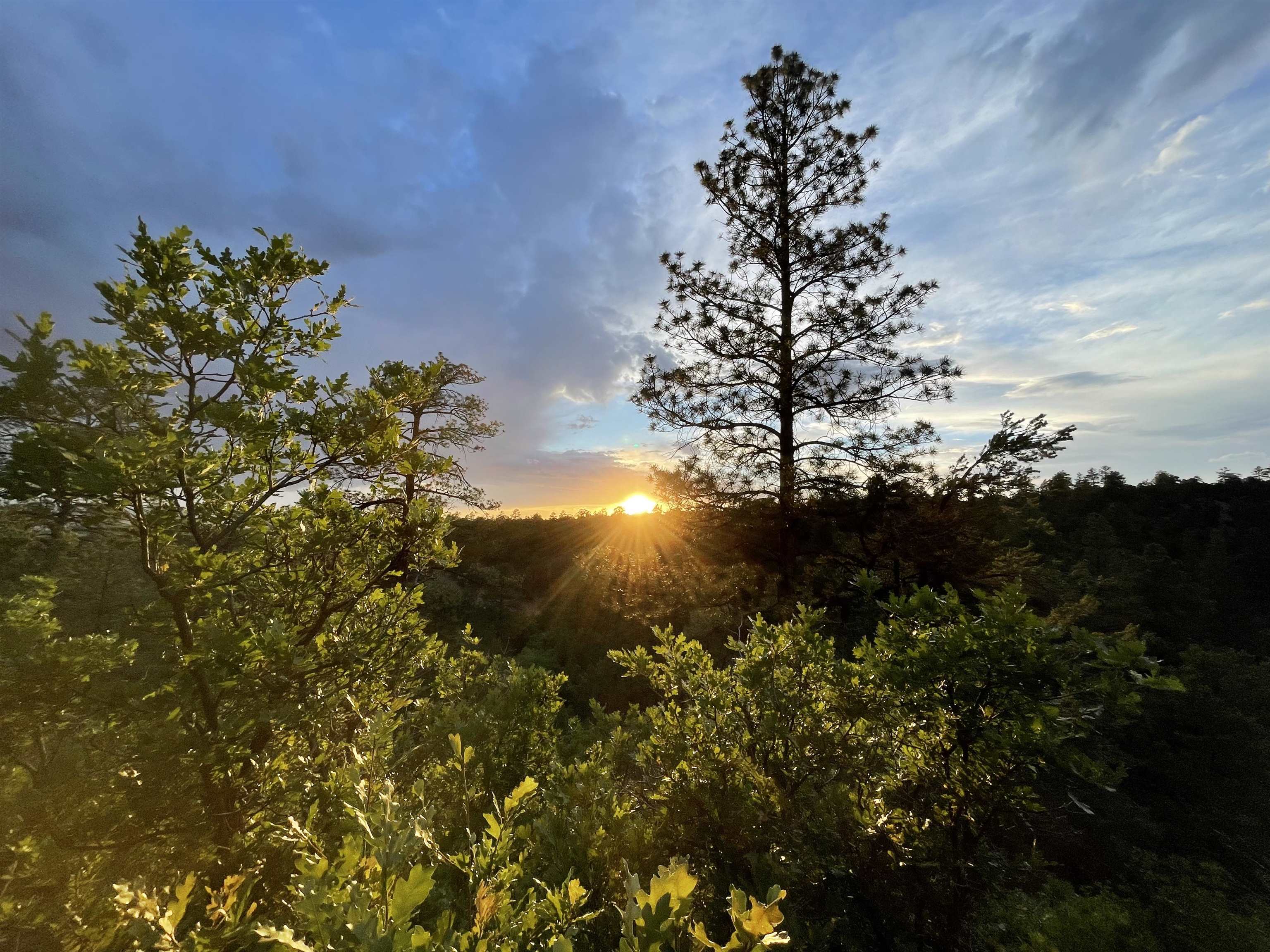 267 Gallina Canyon Rd, Taos, New Mexico image 30