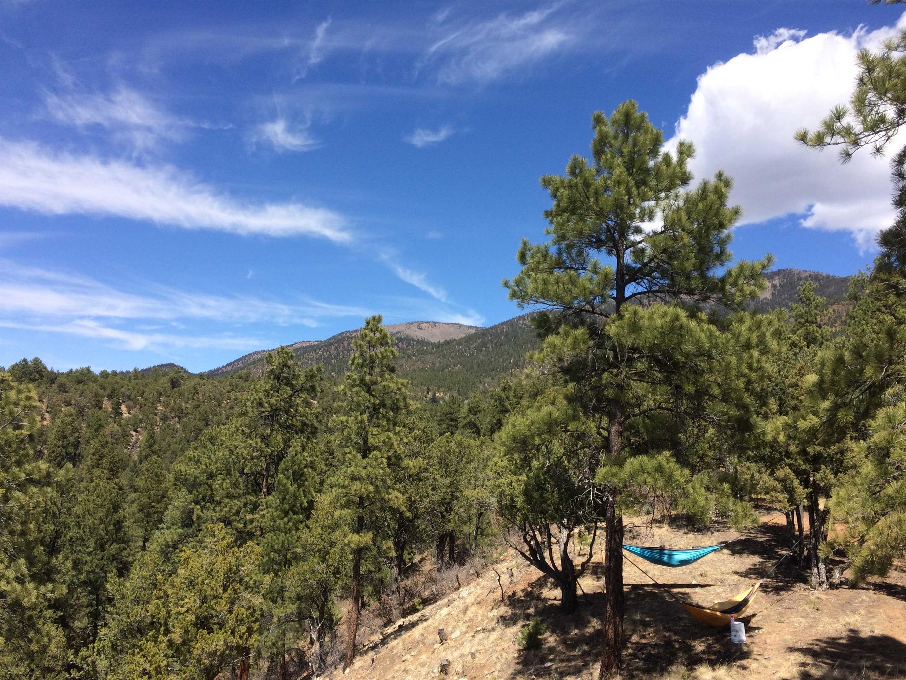 267 Gallina Canyon Rd, Taos, New Mexico image 24
