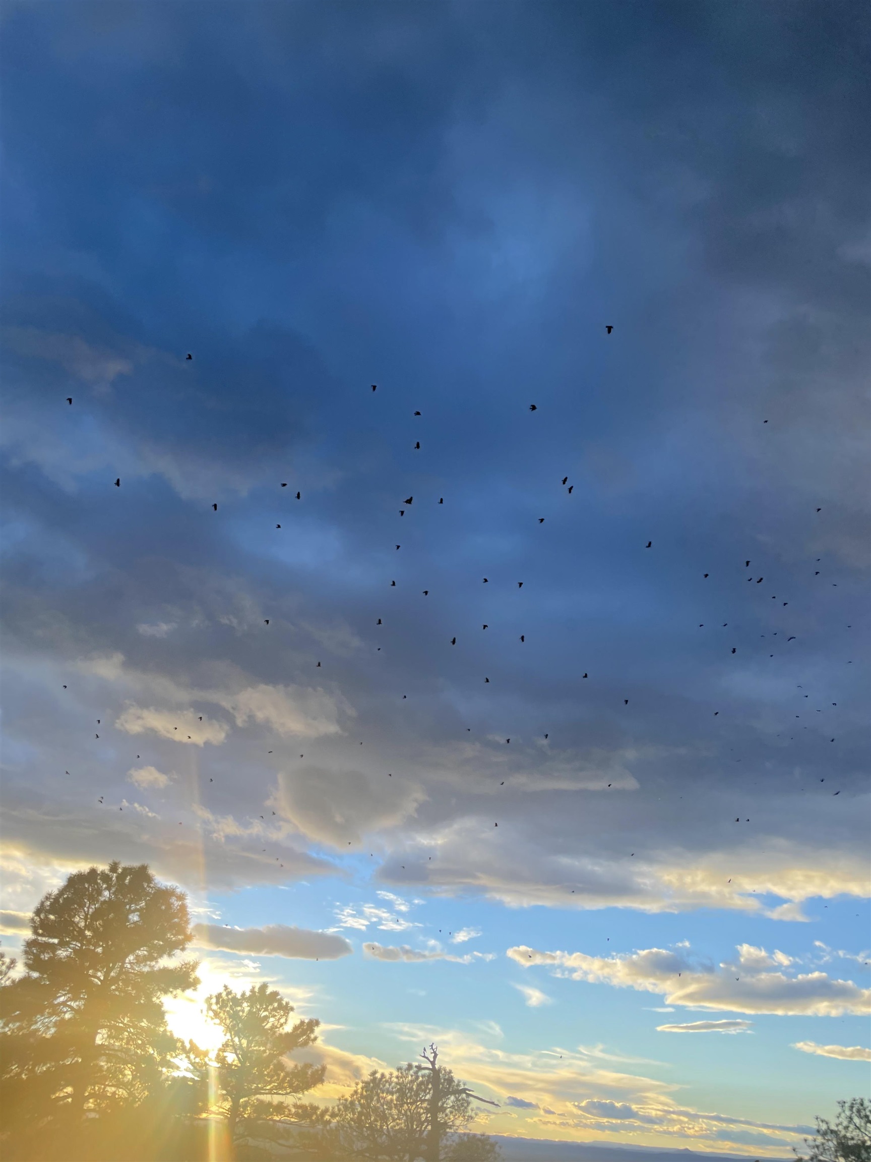 267 Gallina Canyon Rd, Taos, New Mexico image 20