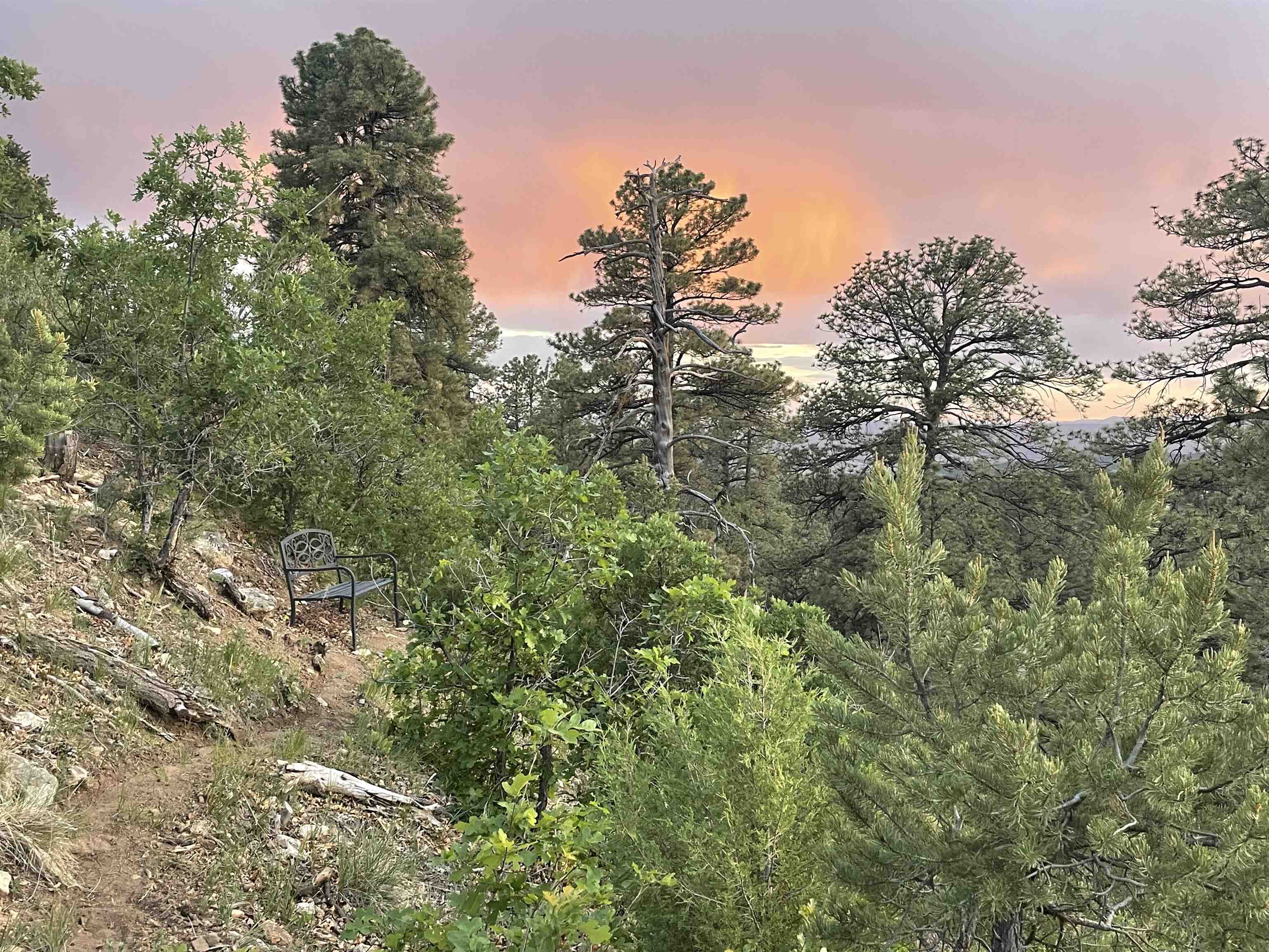 267 Gallina Canyon Rd, Taos, New Mexico image 19