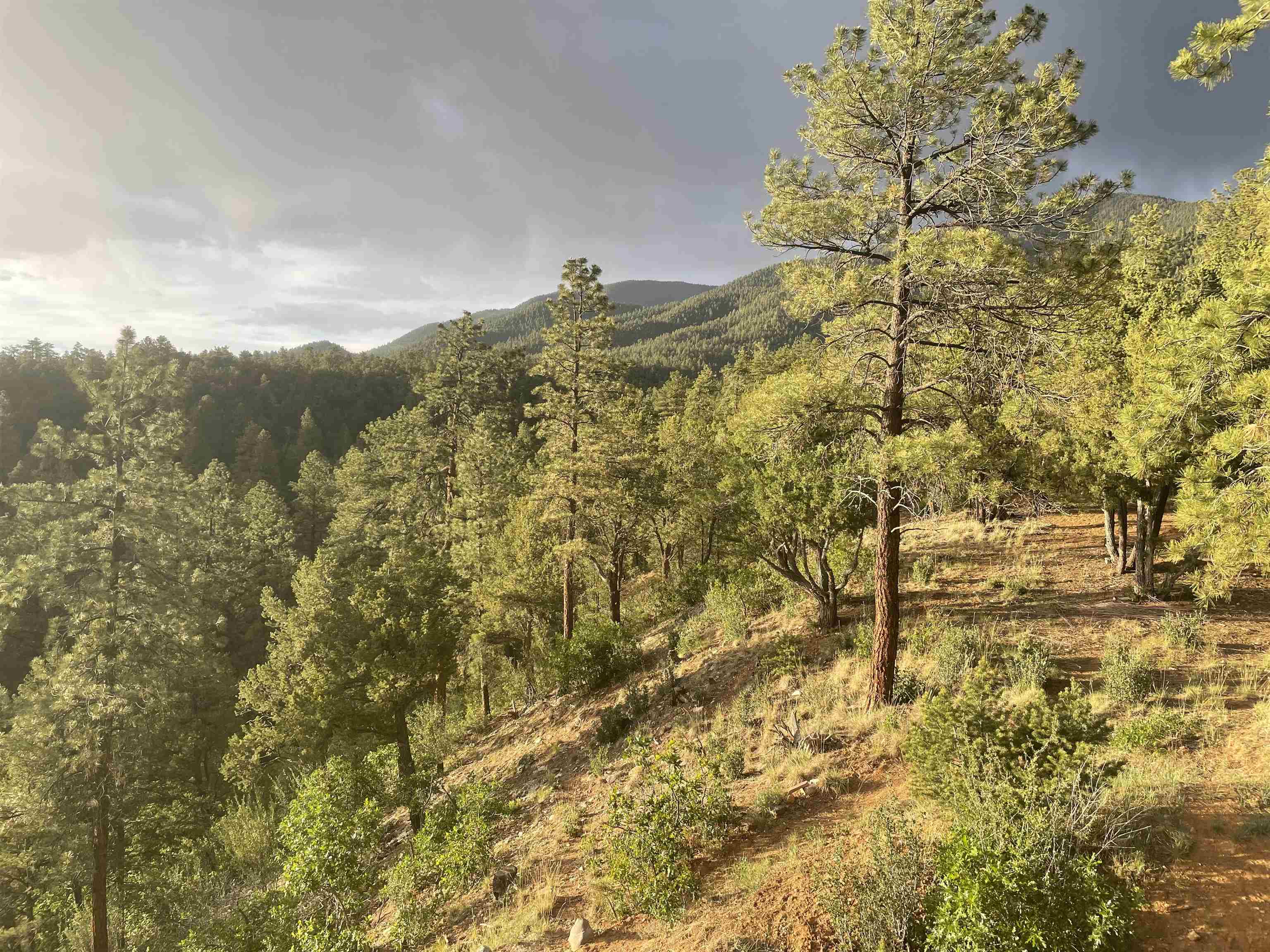 267 Gallina Canyon Rd, Taos, New Mexico image 25