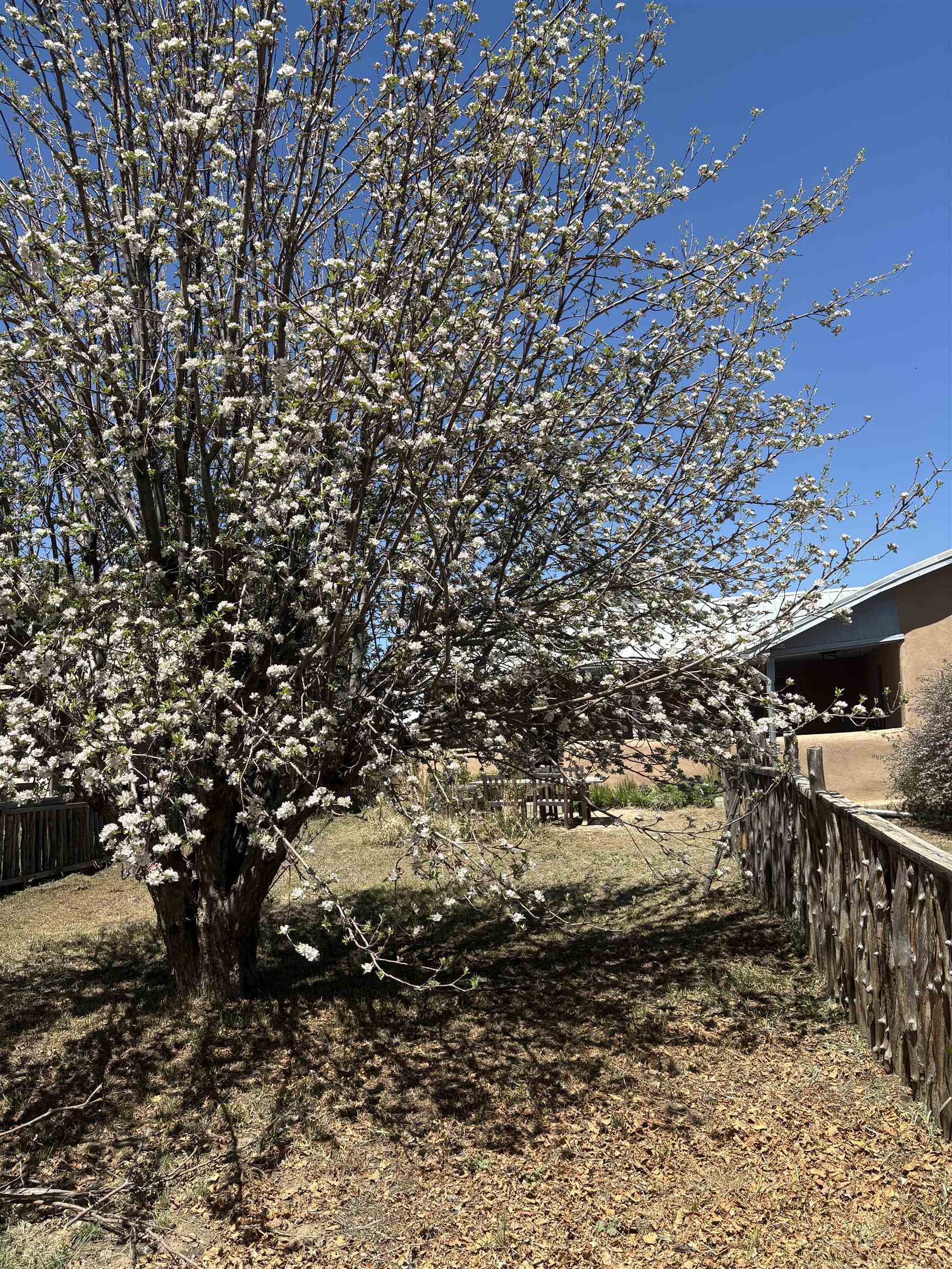 3 Manzano Viejo, Taos, New Mexico image 32