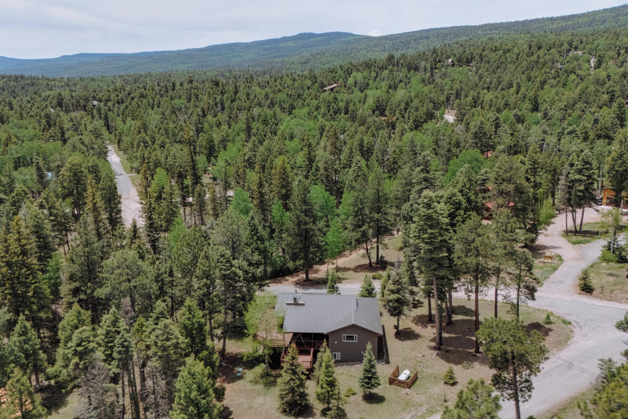 Angel Fire, New Mexico 87710, United States, 3 Bedrooms Bedrooms, ,2 BathroomsBathrooms,Residential,Active,149443