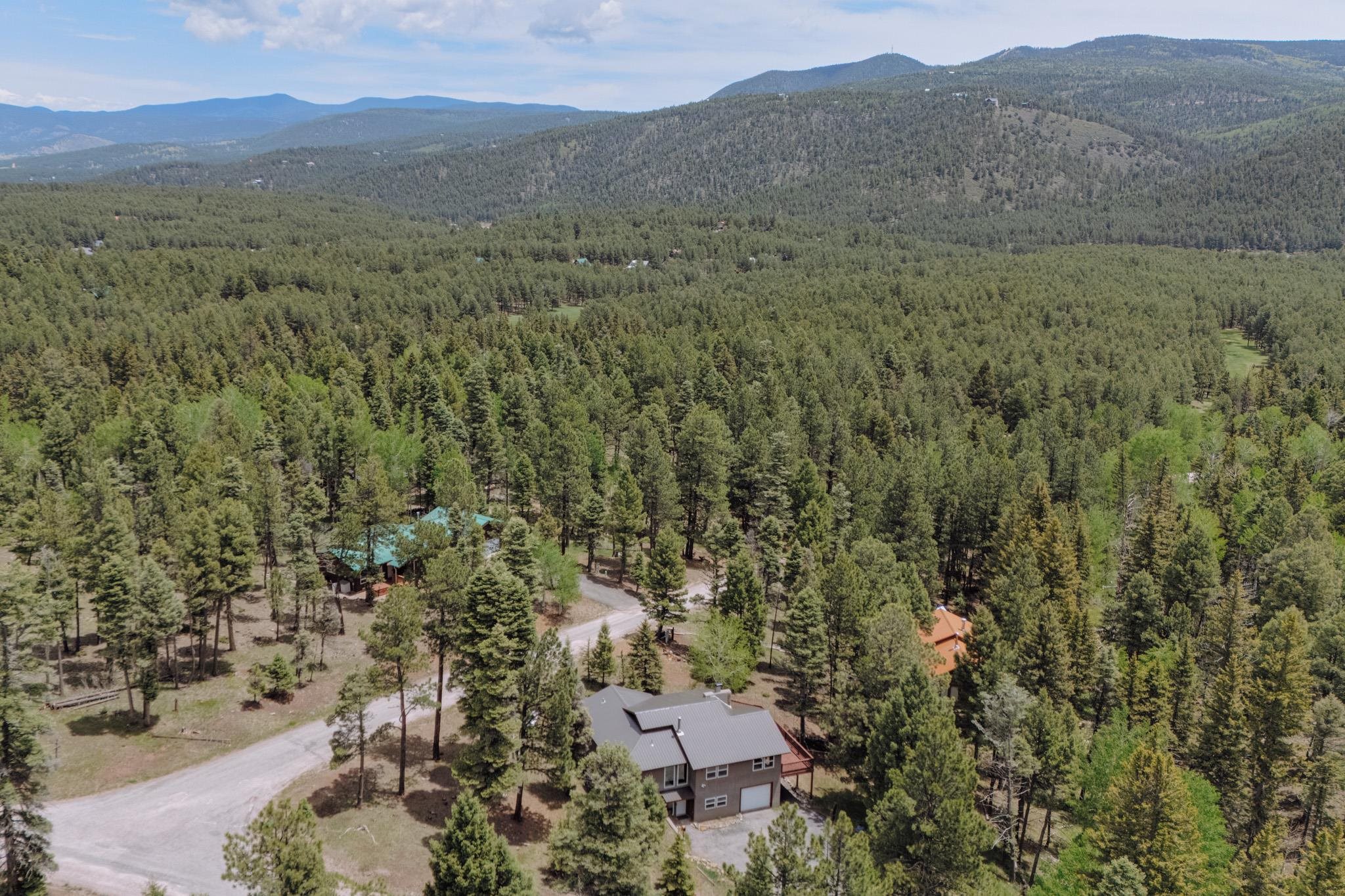 Angel Fire, New Mexico 87710, United States, 3 Bedrooms Bedrooms, ,2 BathroomsBathrooms,Residential,Active,149443