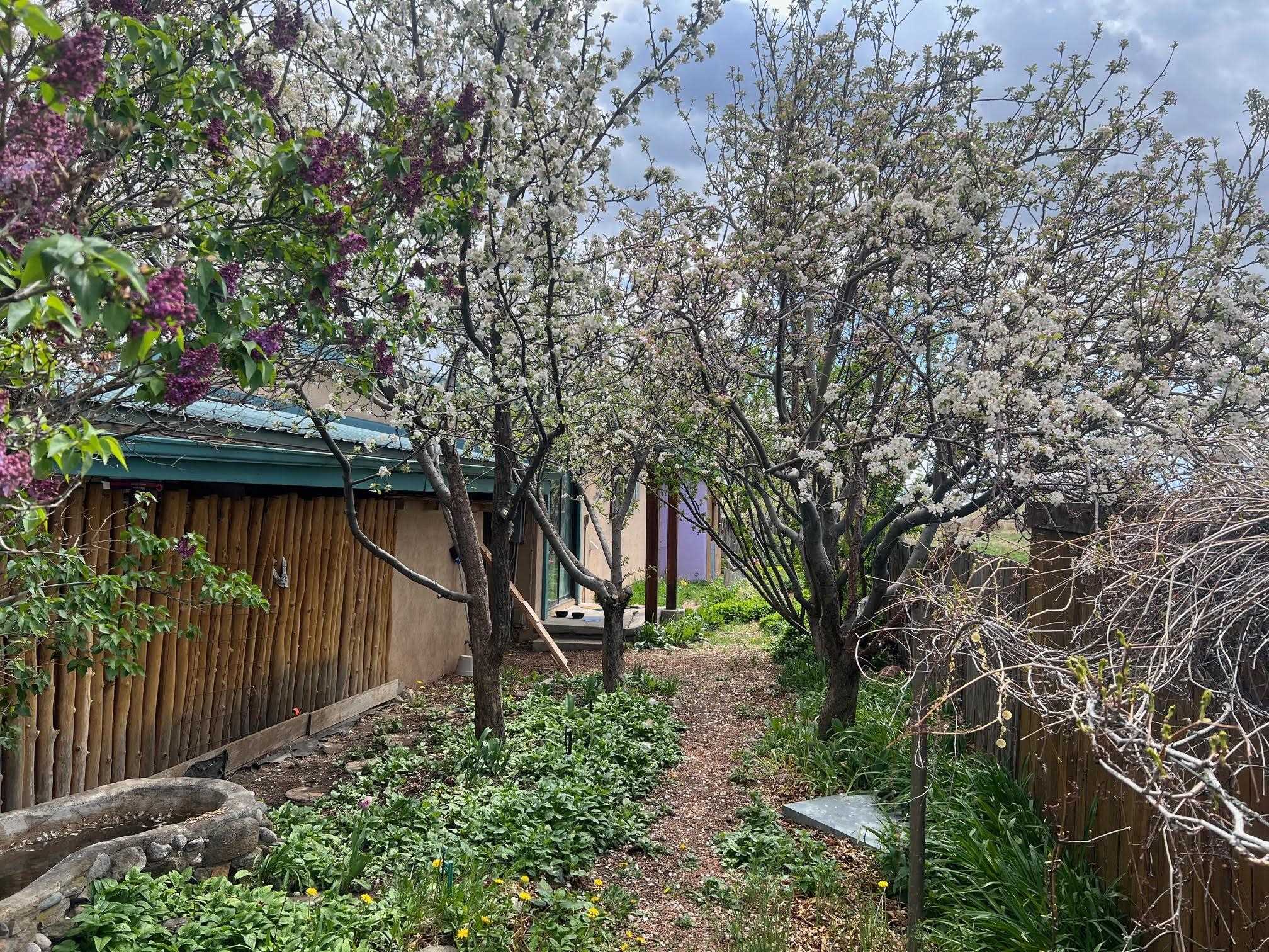 1122 Don Juan Valdez Lane, El Prado, New Mexico image 40