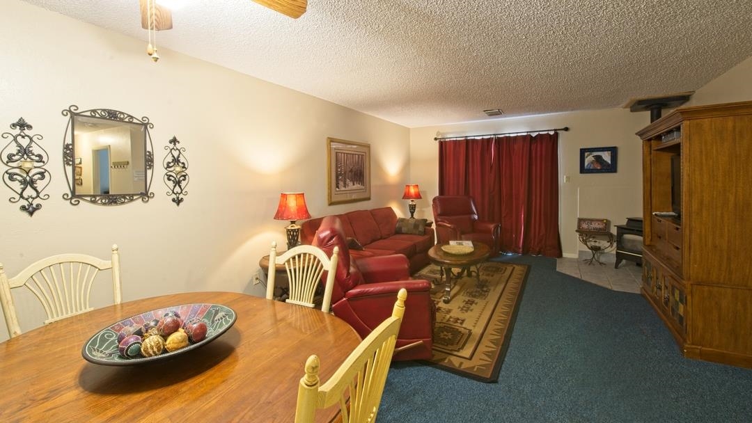 700 Claimjumper St, Red River, New Mexico image 5