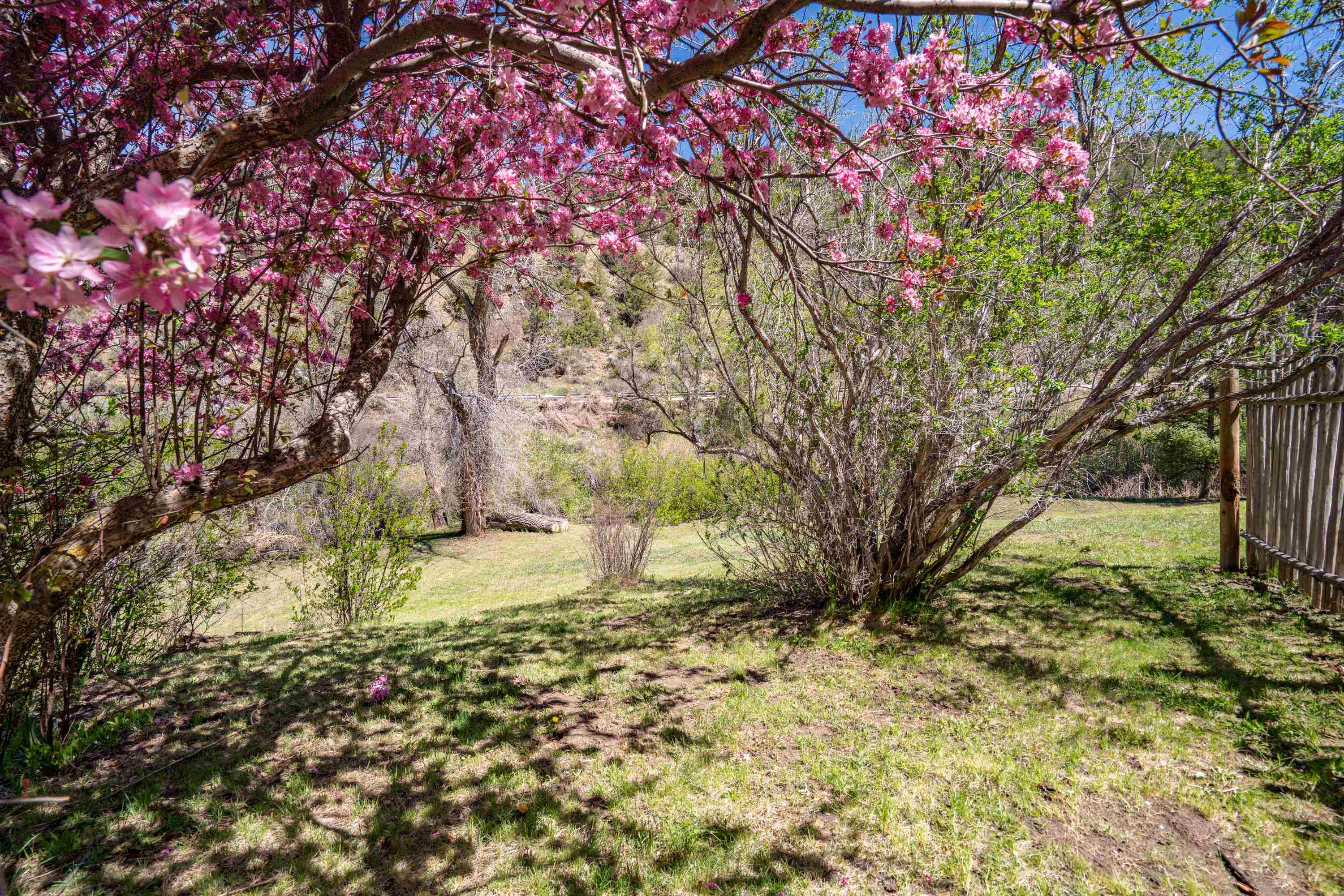 26346 Highway 64e, Taos, New Mexico image 48