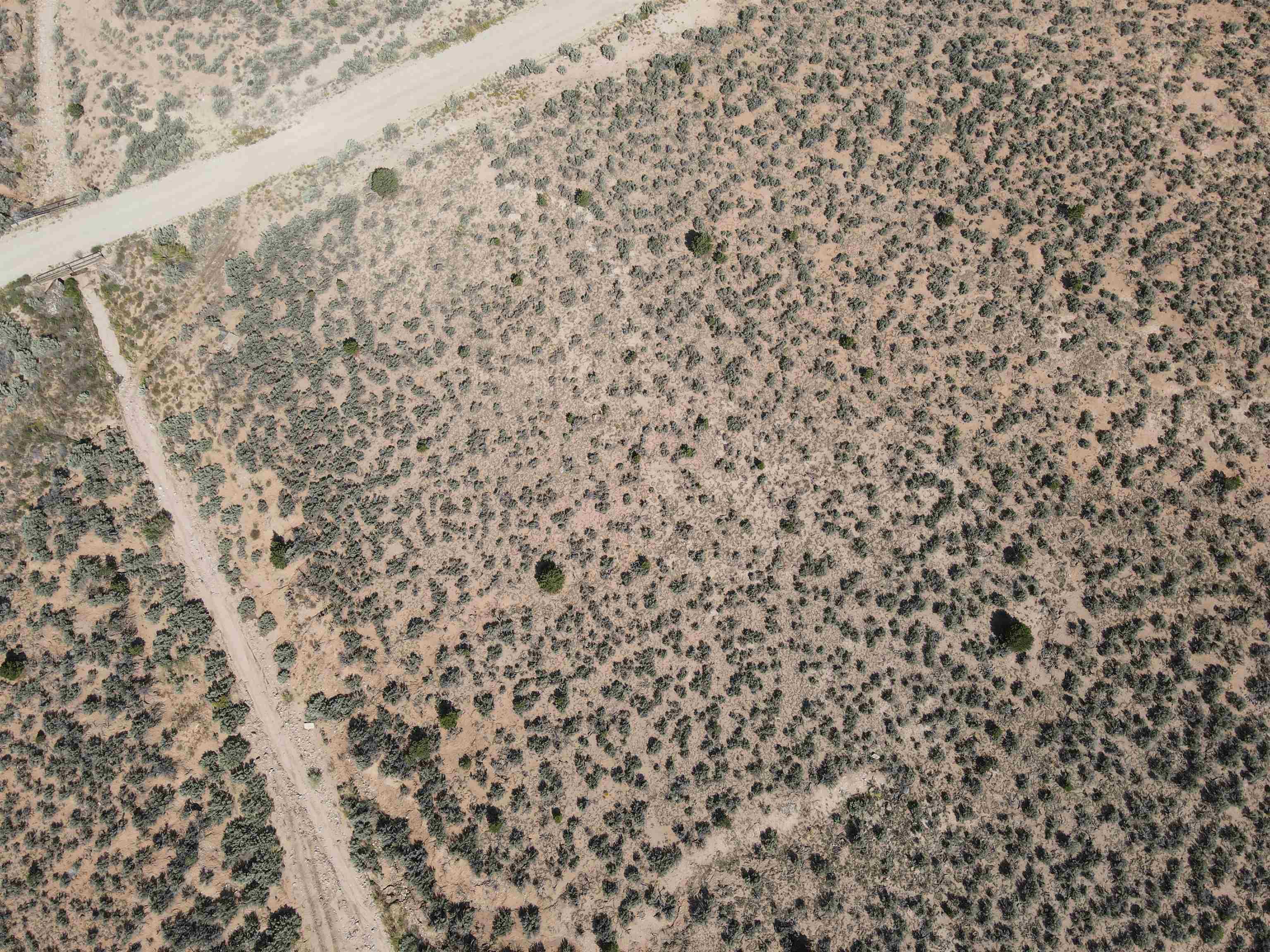 Laguardia, Ranchos de Taos, New Mexico image 14