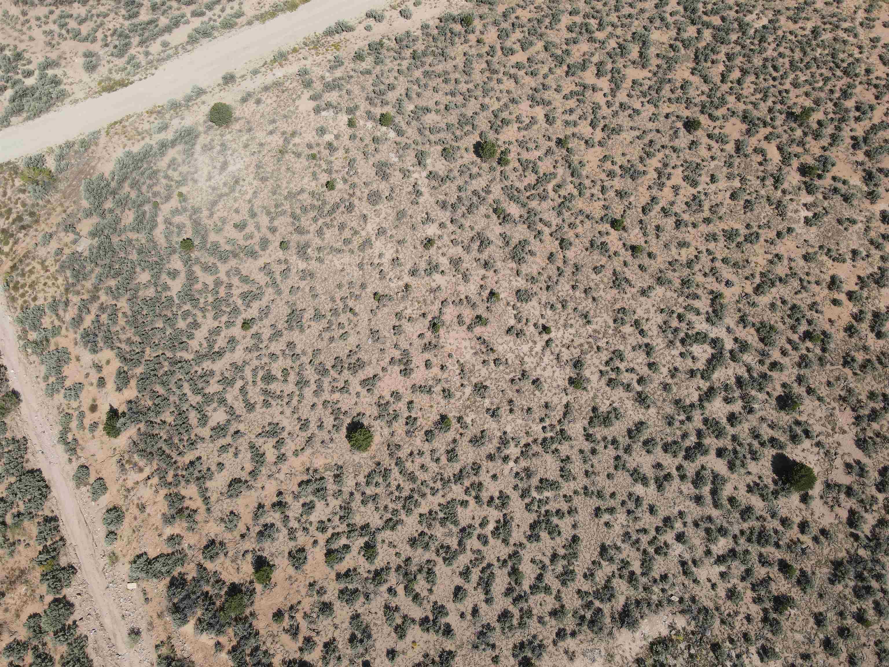 Laguardia, Ranchos de Taos, New Mexico image 5