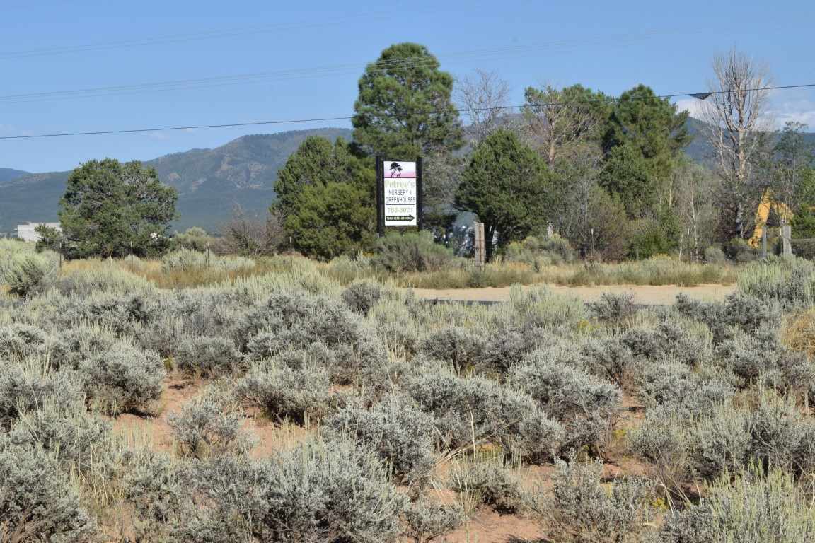 Tr A1 Blueberry Hill Road, El Prado, New Mexico image 3