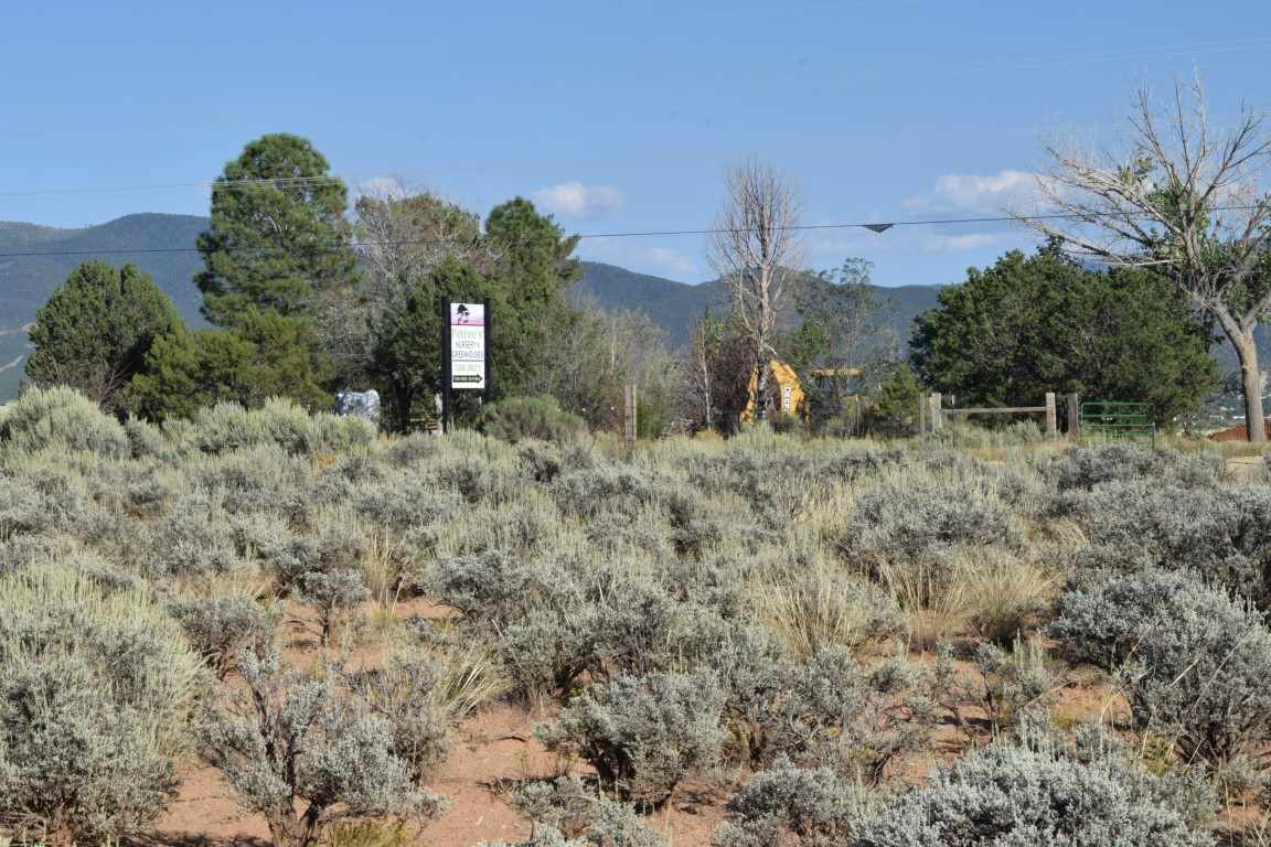 Tr A1 Blueberry Hill Road, El Prado, New Mexico image 4