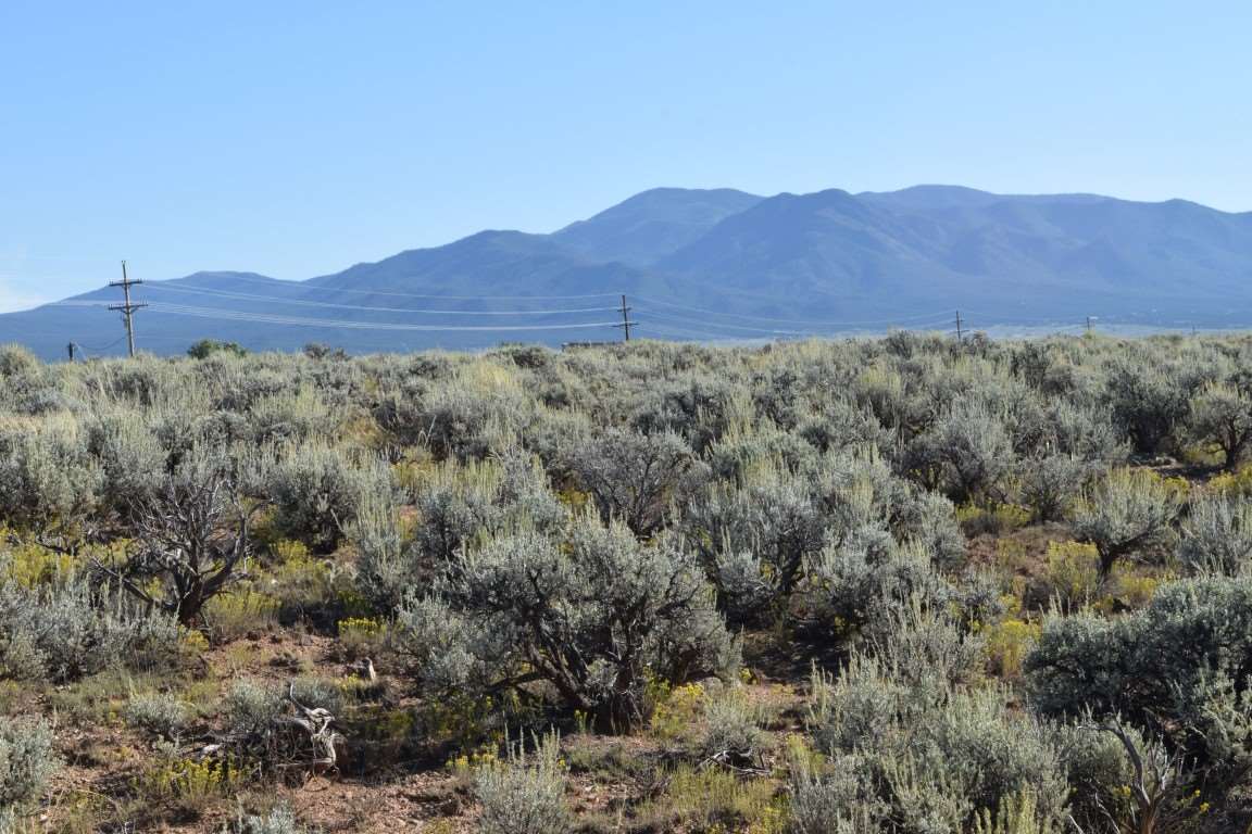 Tr A1 Blueberry Hill Road, El Prado, New Mexico image 7