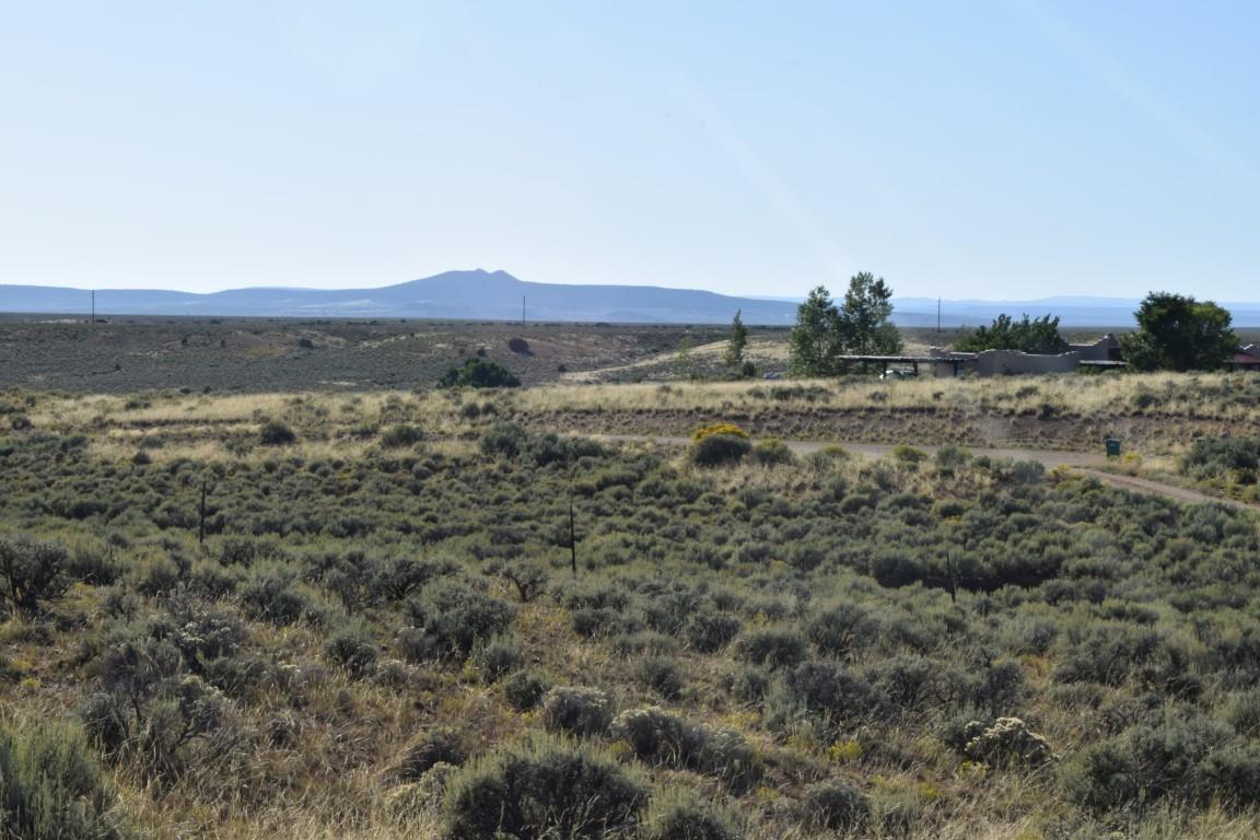 Tr A1 Blueberry Hill Road, El Prado, New Mexico image 1