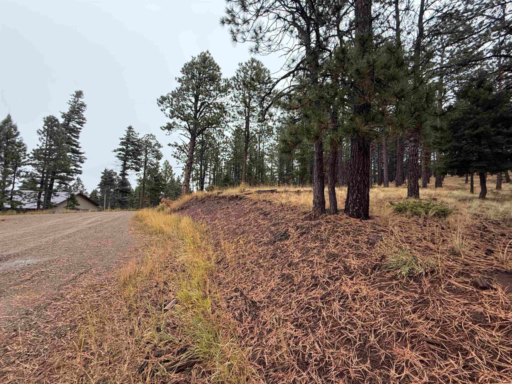 Photo of Lot 187 Taos Pl, Angel Fire, NM 87710 (MLS # 114255)