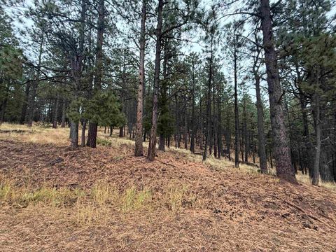 Vacant Land For Sale - LOT 187 Taos Pl<br/> Angel Fire, NM 87710