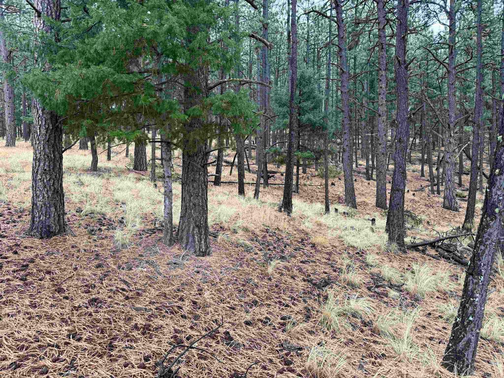 Photo of Lot 187 Taos Pl, Angel Fire, NM 87710 (MLS # 114255)