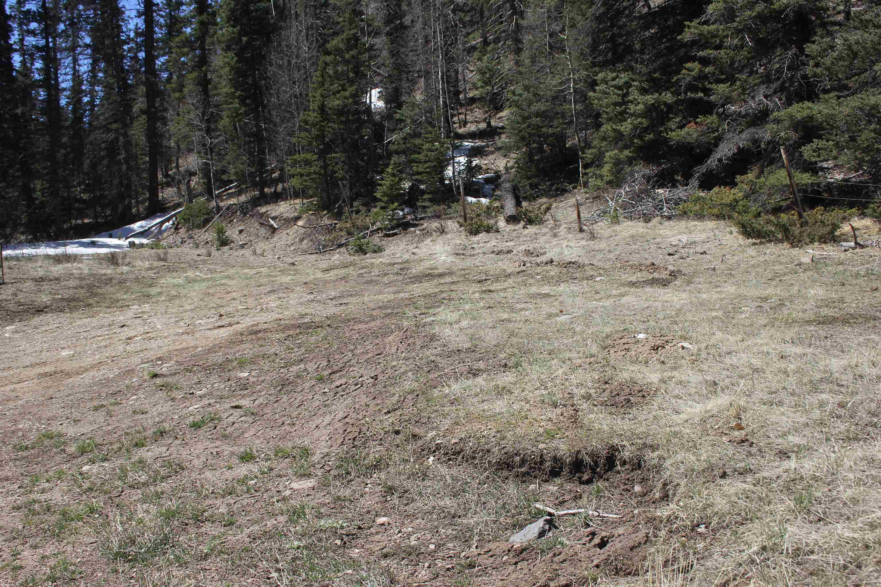 Lot 23 Valley Of The Pines, Red River, New Mexico image 8