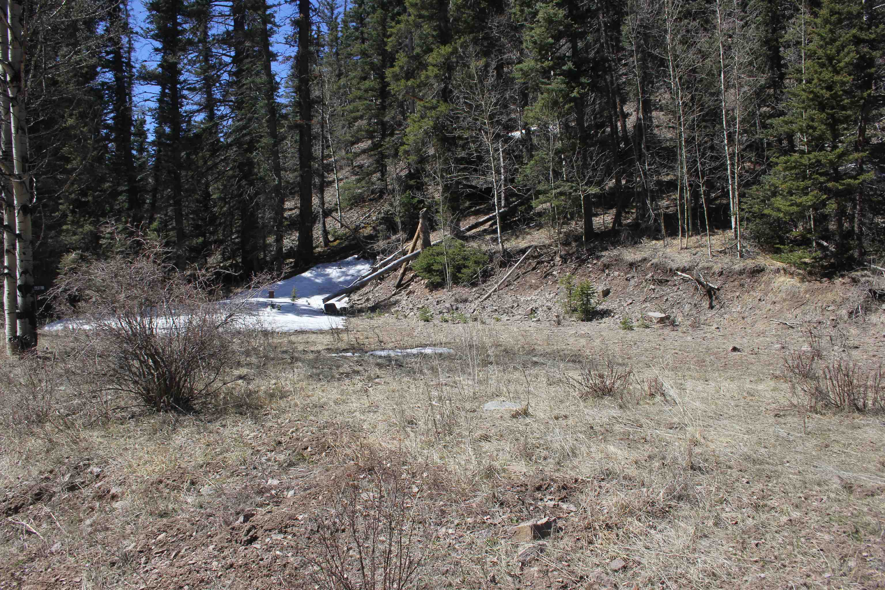 Lot 23 Valley Of The Pines, Red River, New Mexico image 5