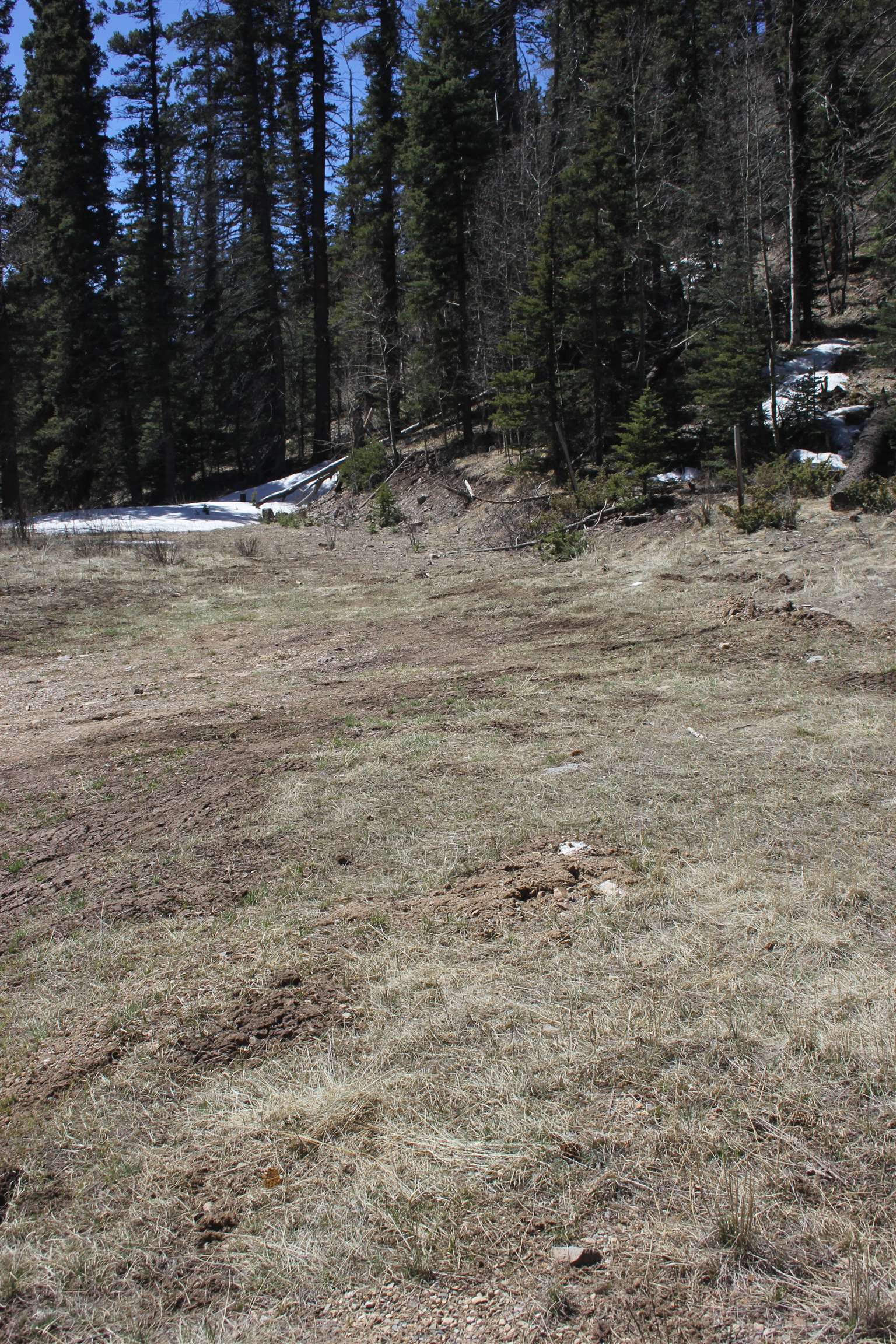 Lot 23 Valley Of The Pines, Red River, New Mexico image 9