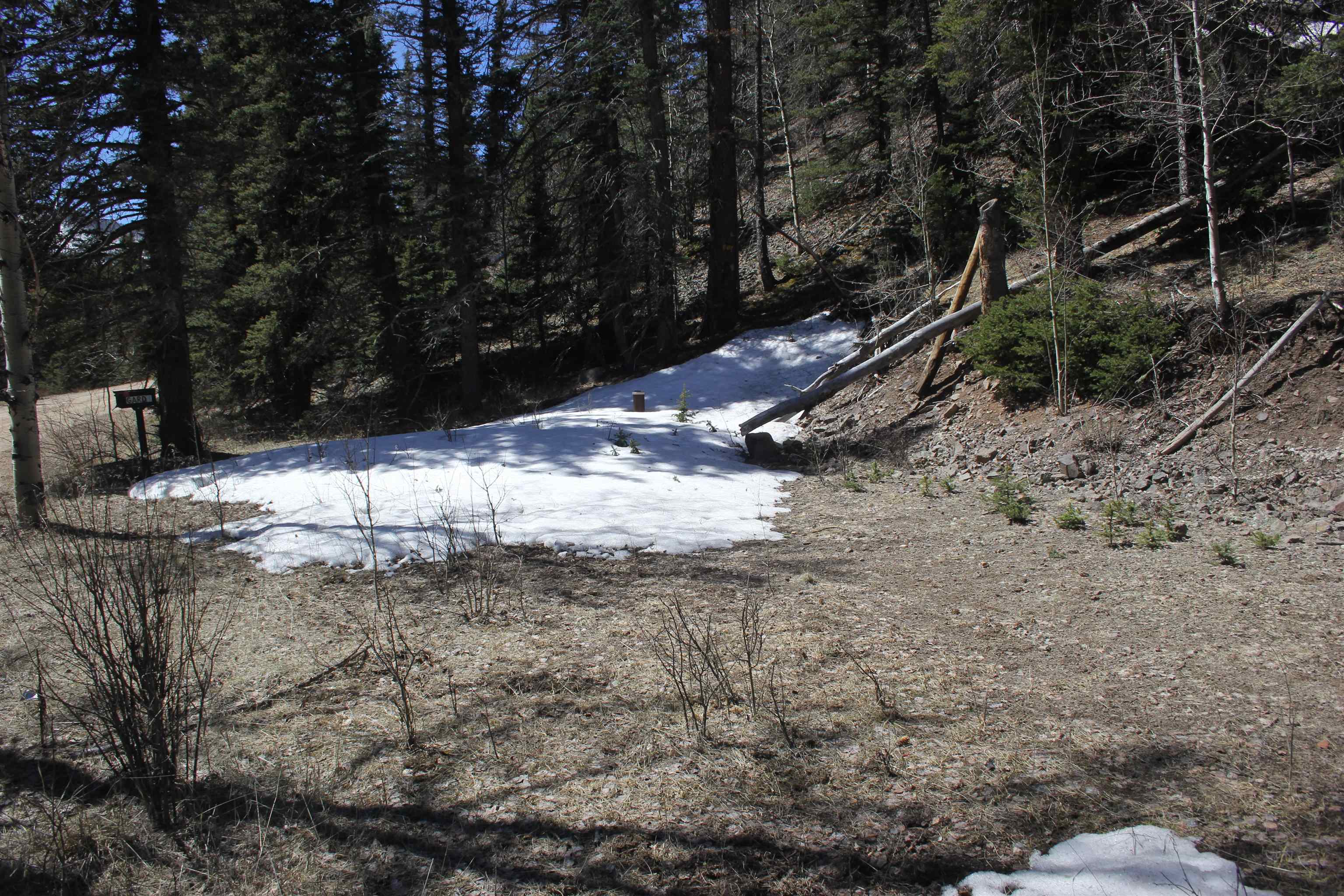 Lot 23 Valley Of The Pines, Red River, New Mexico image 2