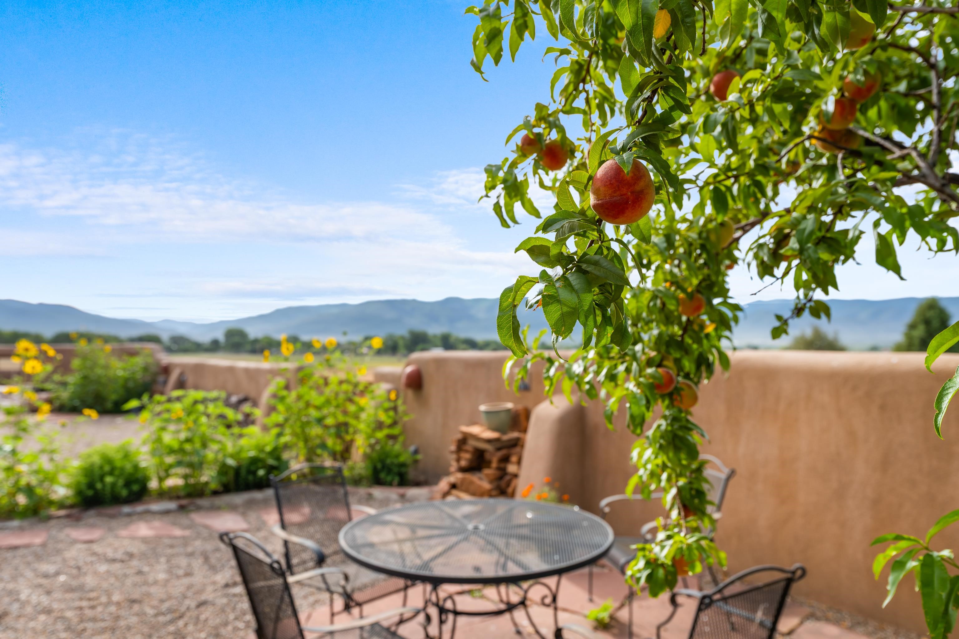 El Prado, New Mexico 87529, United States, 4 Bedrooms Bedrooms, ,4 BathroomsBathrooms,Residential,Active,237473