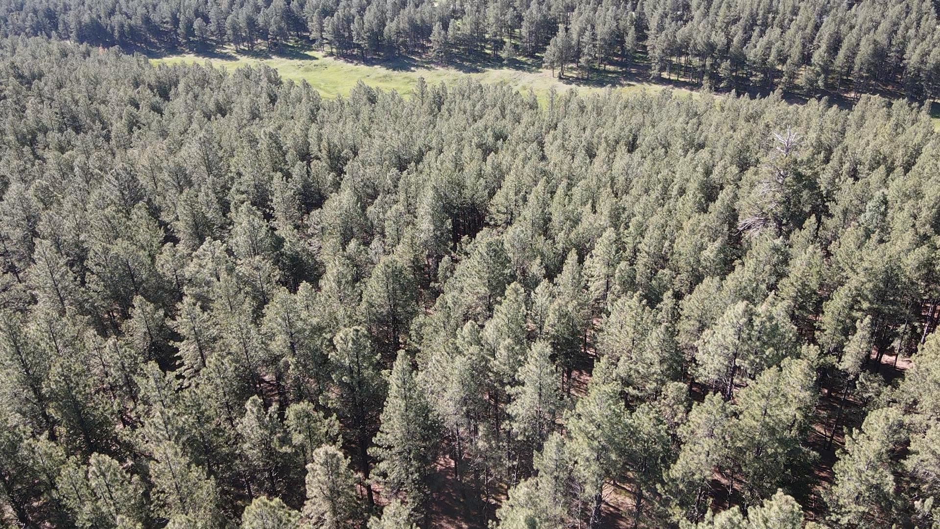 Lot 67 San Juan Dr #30, Angel Fire, Texas image 2