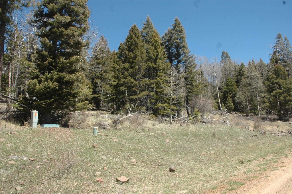 Photo of 1591 cascade overlook, Angel Fire, NM 87710 (MLS # 111639)