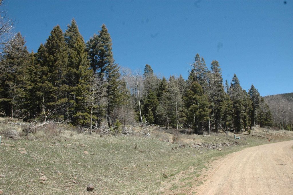 Photo of 1591 cascade overlook, Angel Fire, NM 87710 (MLS # 111639)