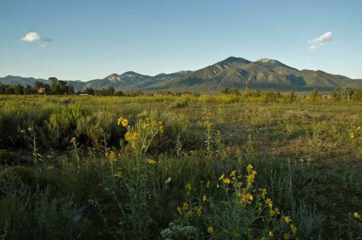 1196 Don Bernabe Garcia, El Prado, New Mexico image 8