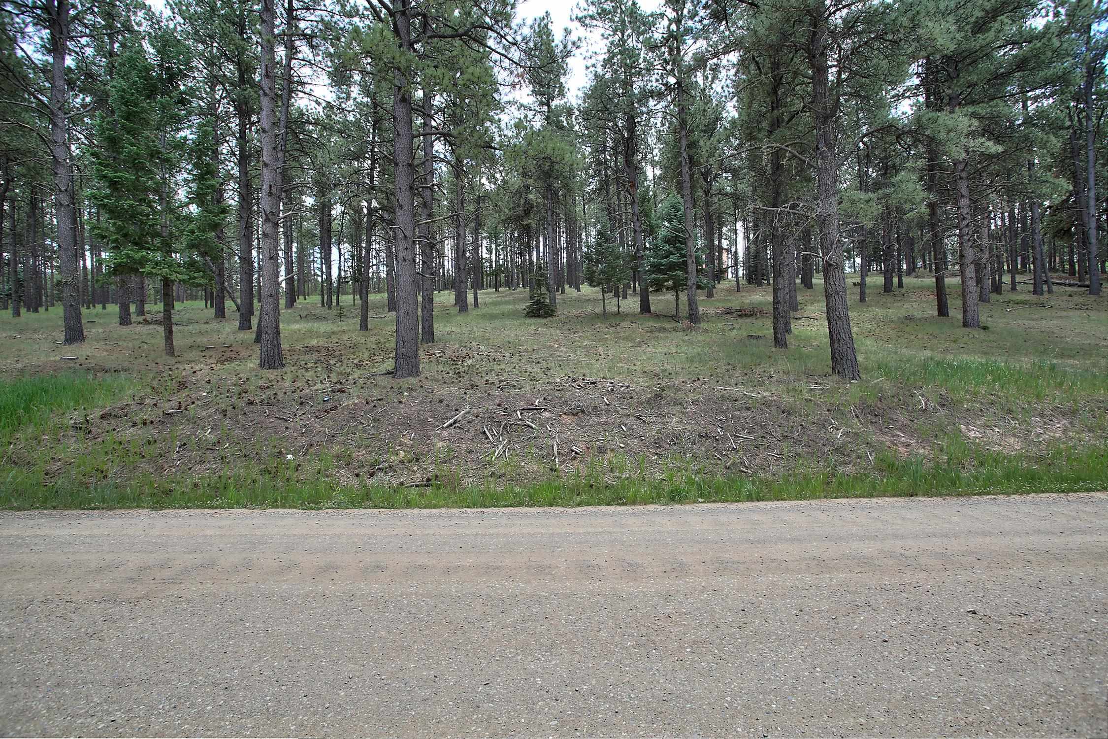 Lot 1309 San Pedro Drive, Angel Fire, New Mexico image 3