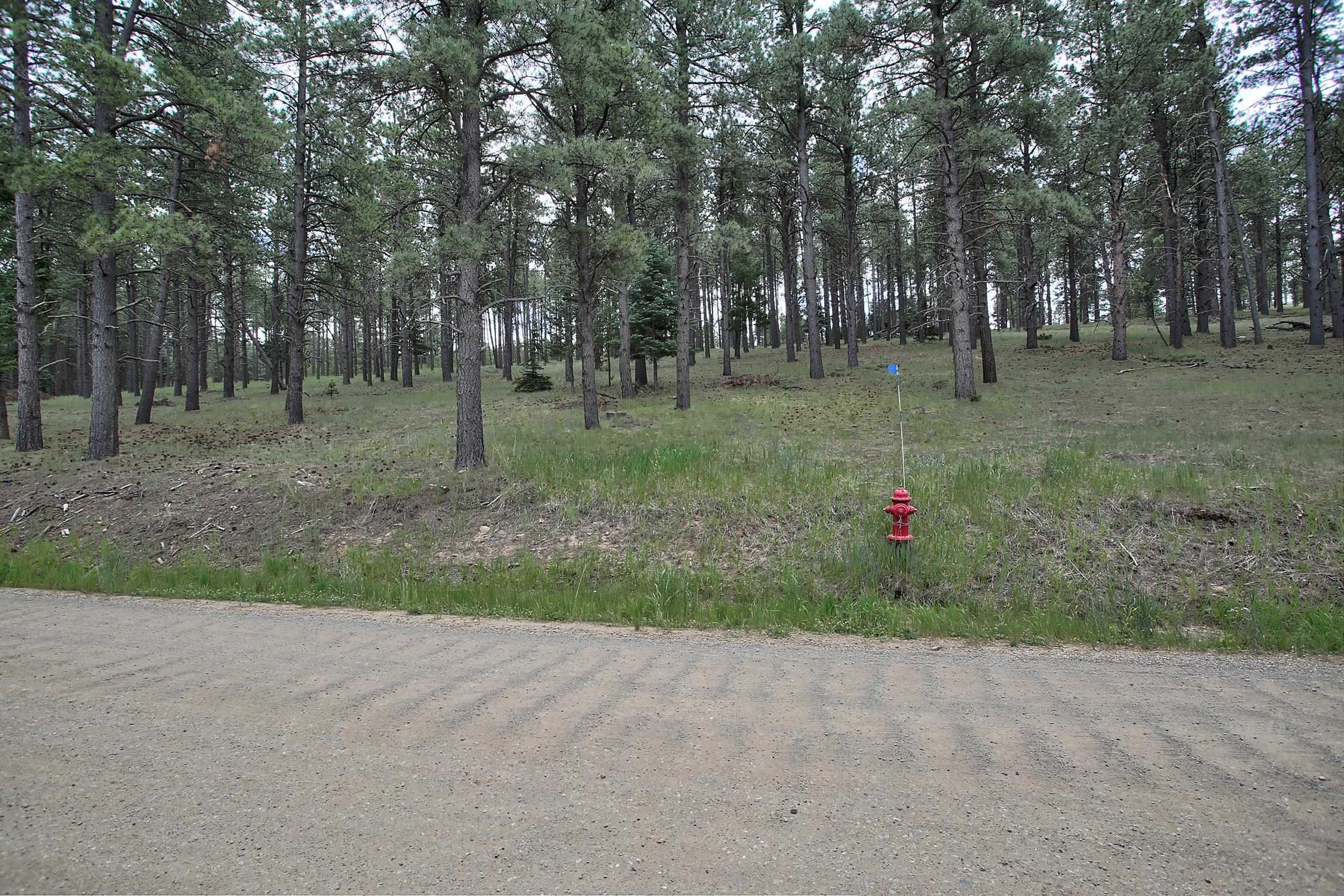 Lot 1309 San Pedro Drive, Angel Fire, New Mexico image 5