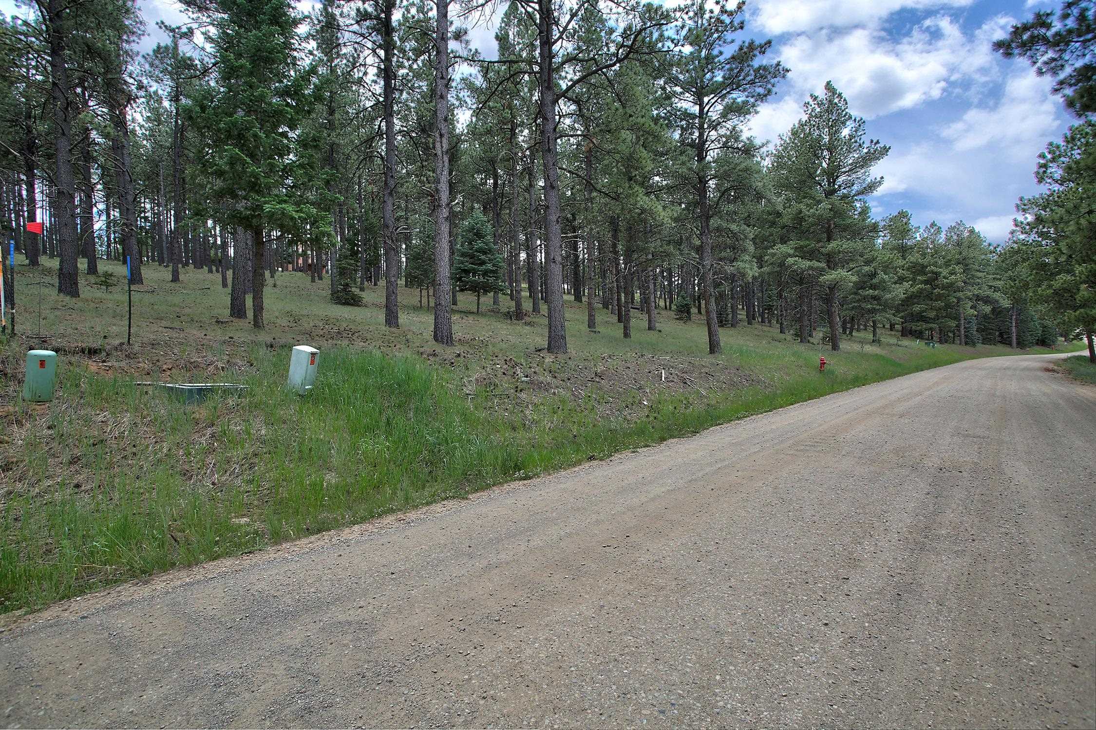 Lot 1309 San Pedro Drive, Angel Fire, New Mexico image 1