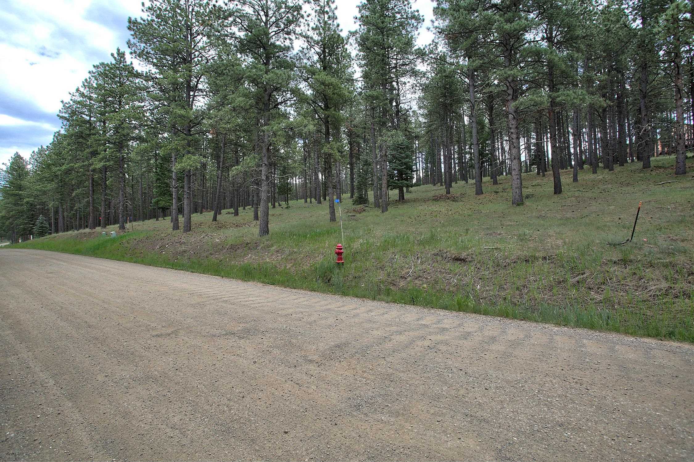 Lot 1309 San Pedro Drive, Angel Fire, New Mexico image 4