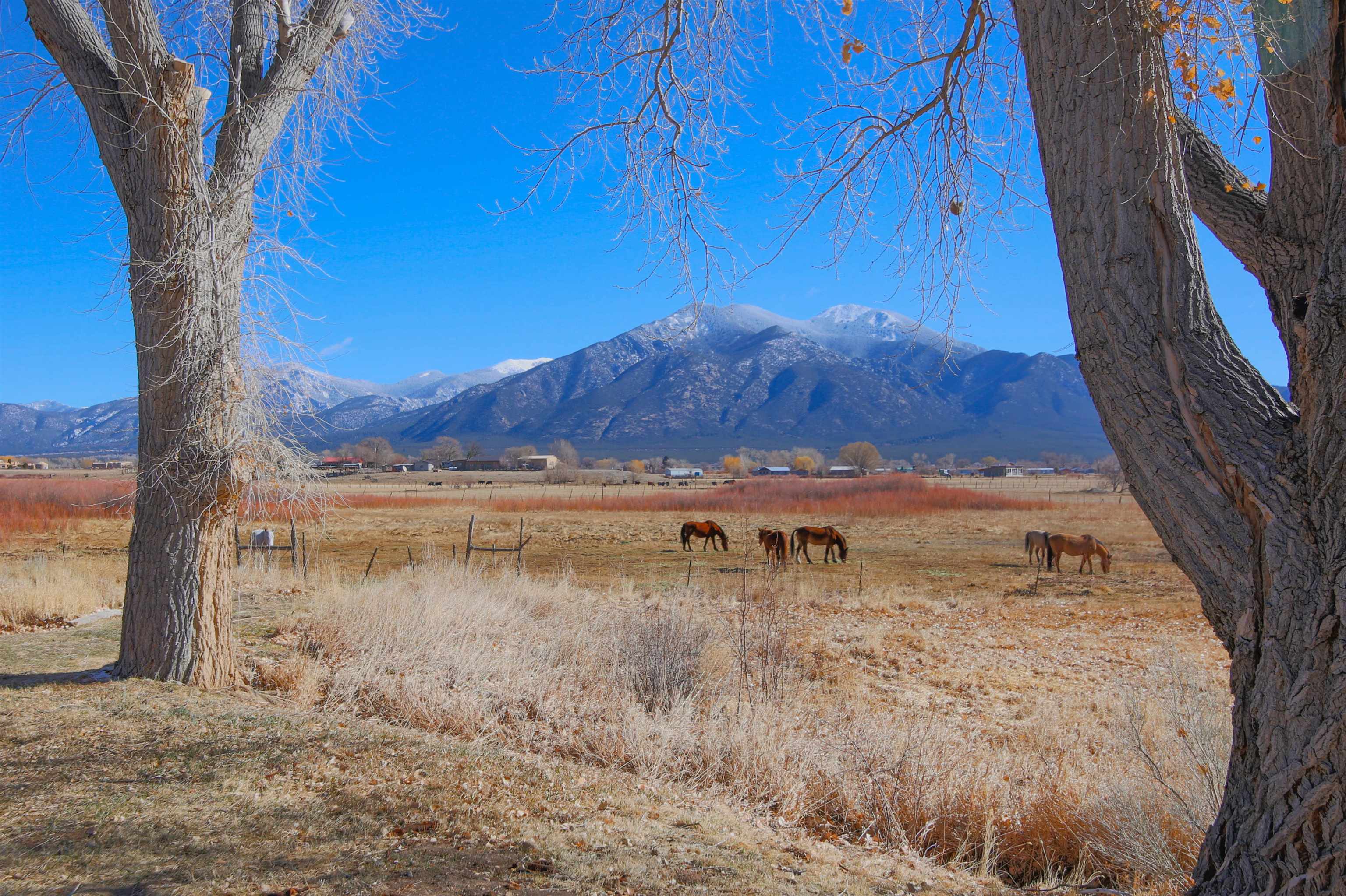 8 Painter Road, El Prado, New Mexico image 39