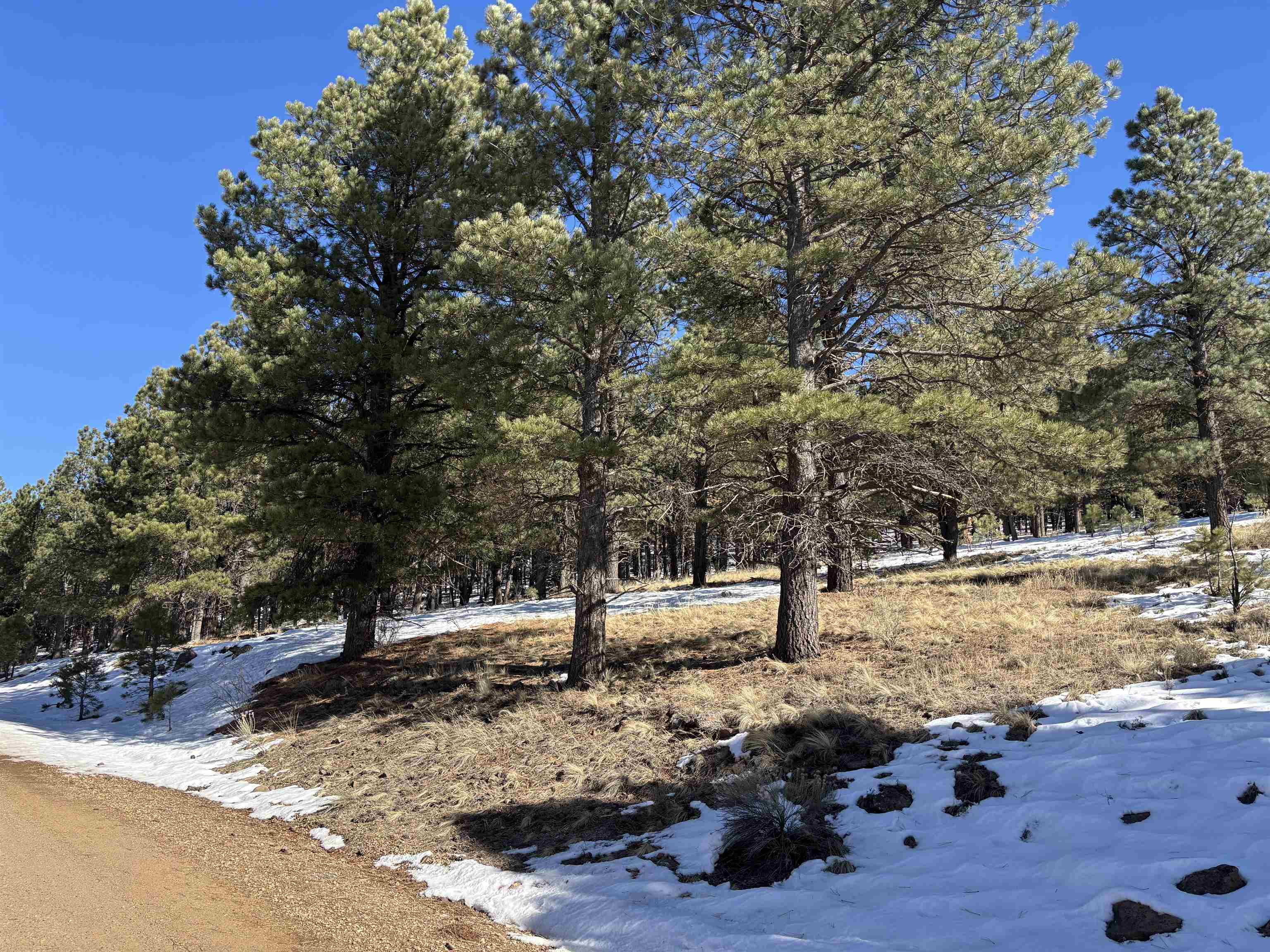 Lot 19 Buckskin Rd, Angel Fire, New Mexico image 2