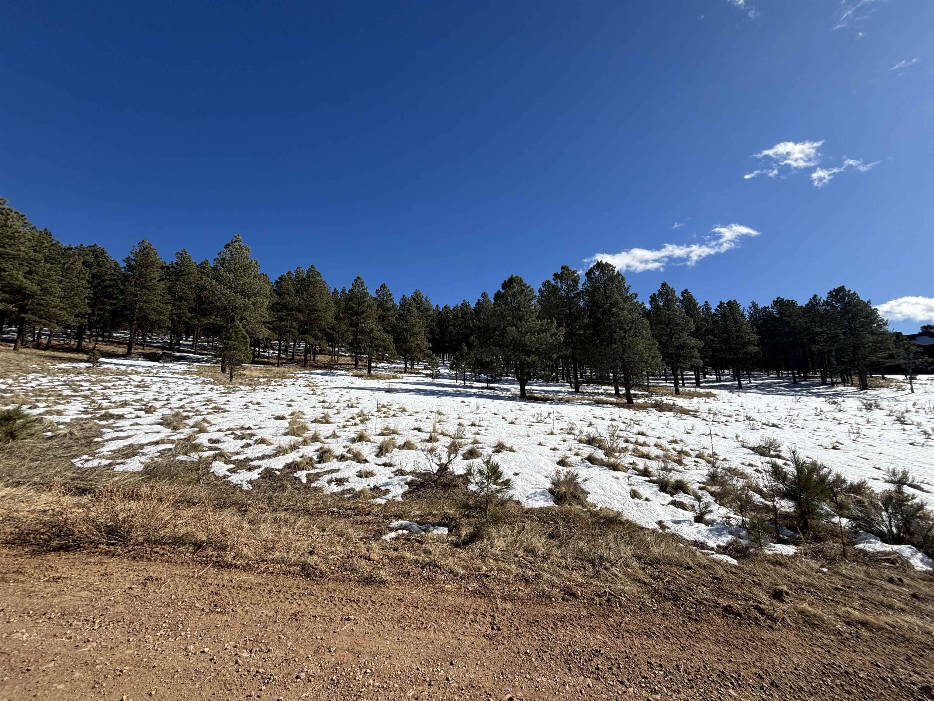 Lot 19 Buckskin Rd, Angel Fire, New Mexico image 6