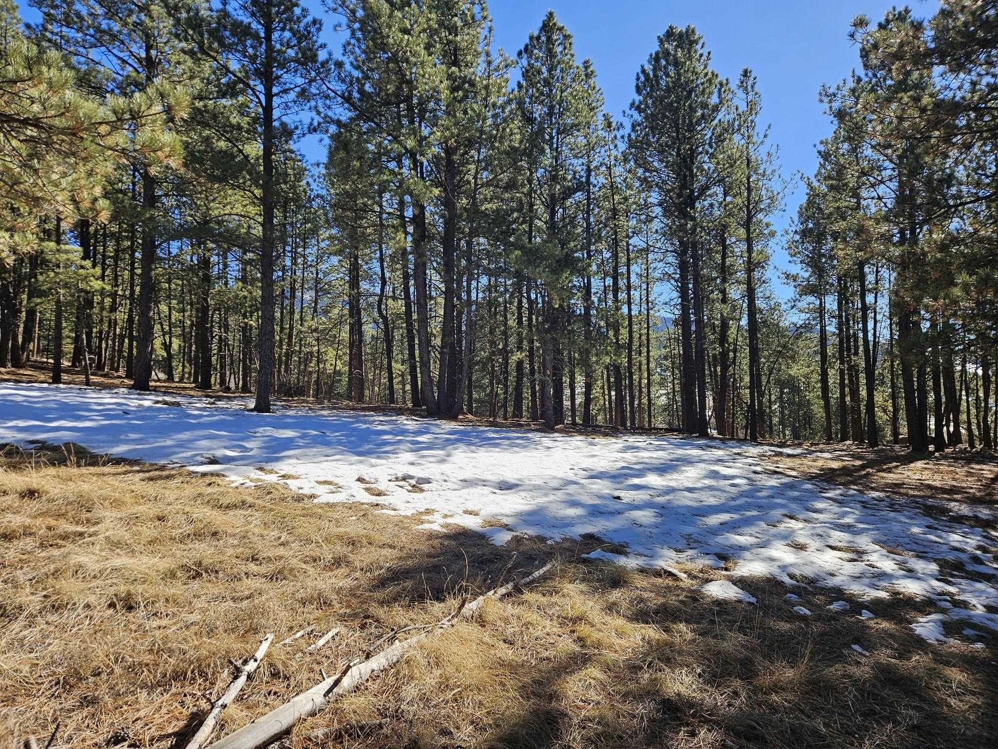 Lot 19 Buckskin Rd, Angel Fire, New Mexico image 9