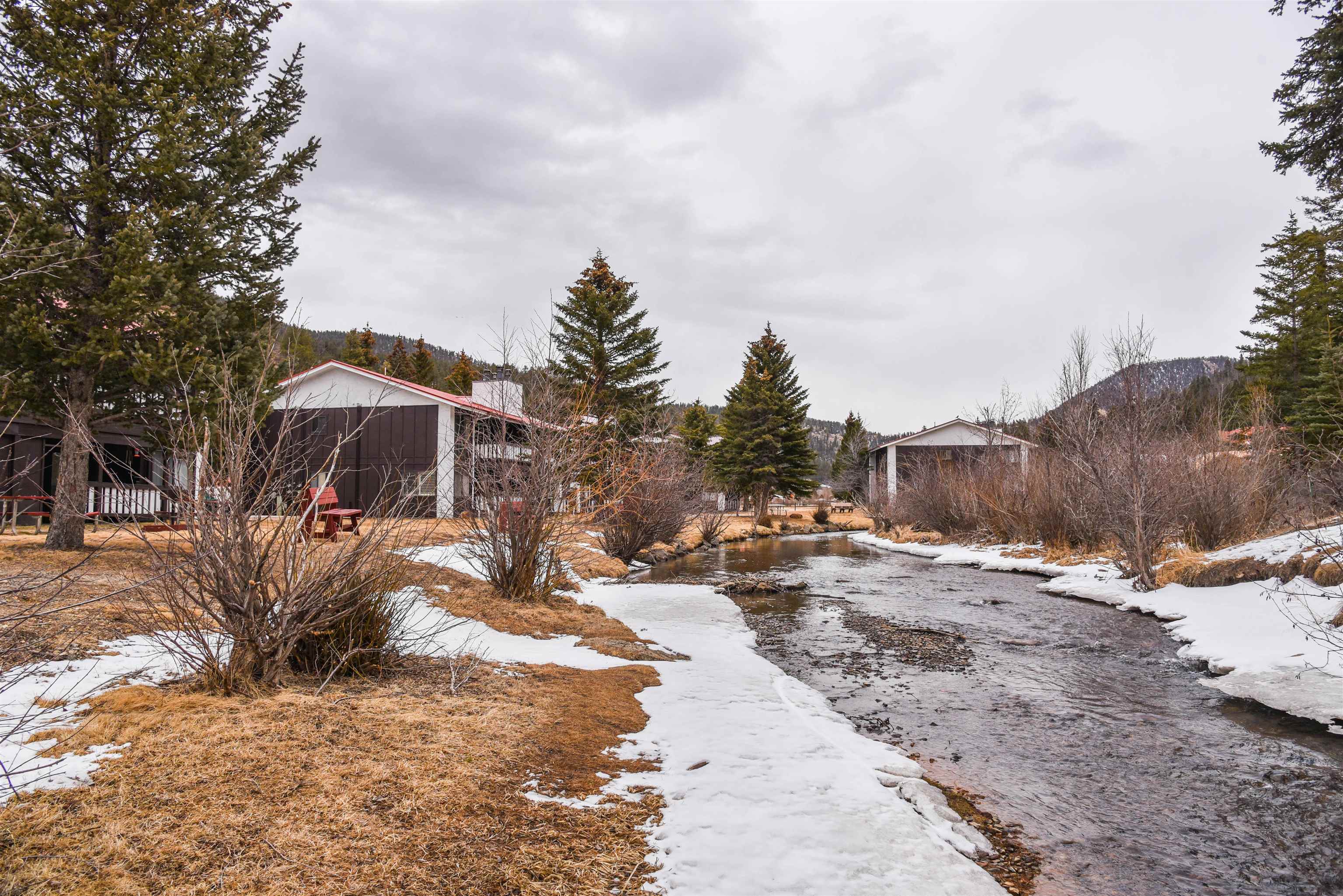 1301 Main Street #1-4, Red River, New Mexico image 39