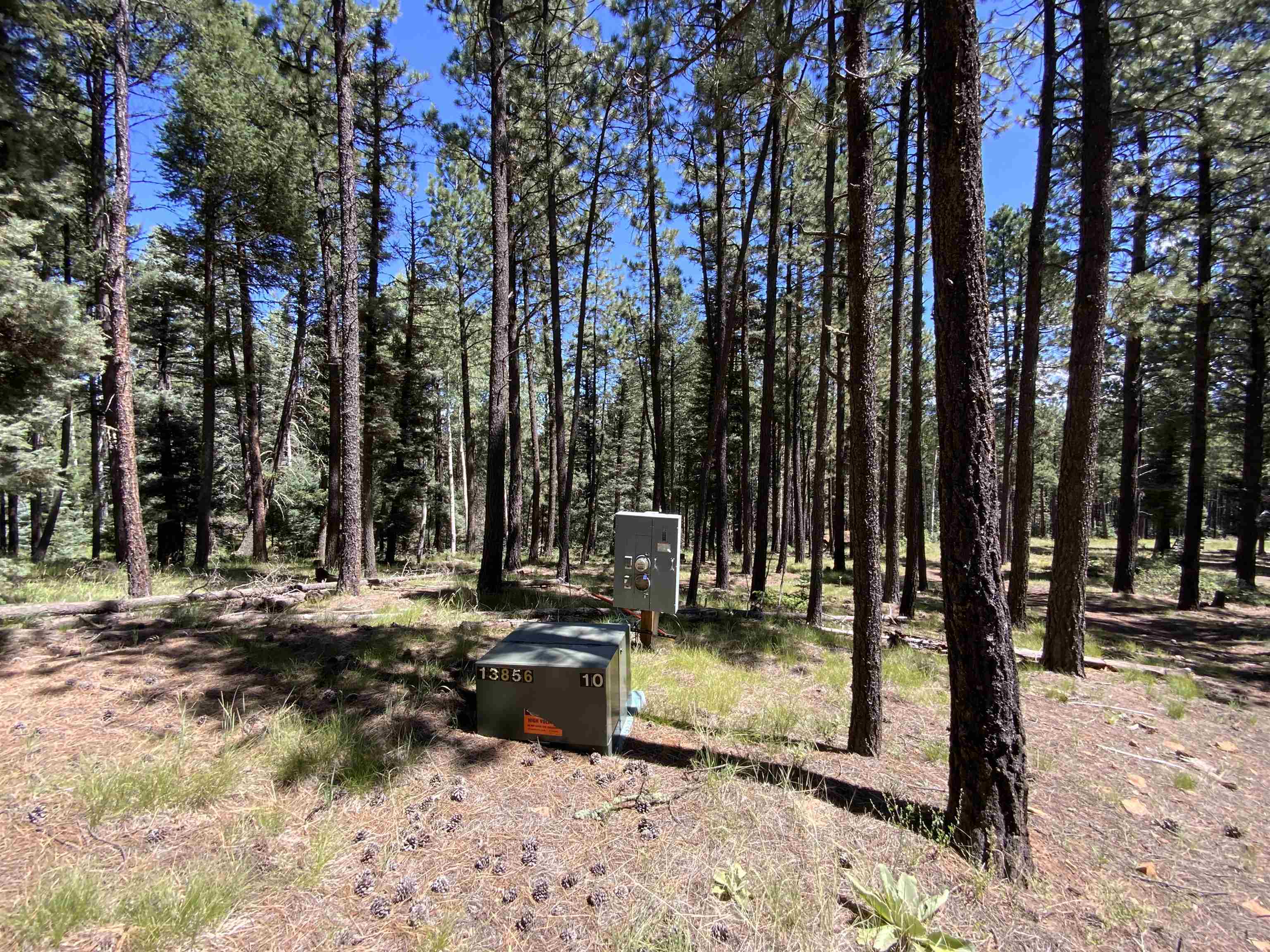 Lot 22 Taos Pines Ranch Rd, Angel Fire, New Mexico image 5