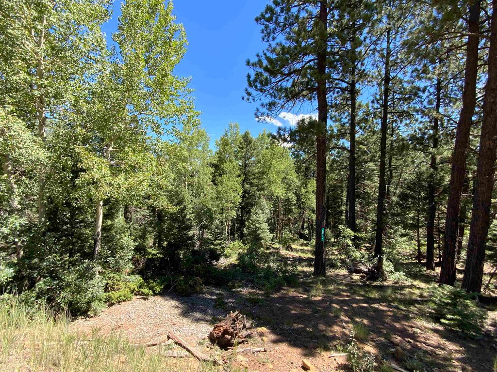 Photo of Lot 22 Taos Pines Ranch Rd, Angel Fire, NM 87710 (MLS # 112269)