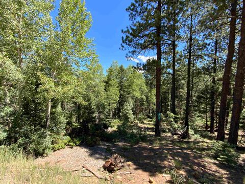 Photo of Lot 22 Taos Pines Ranch Rd, Angel Fire, NM 87710 (MLS # 112269)