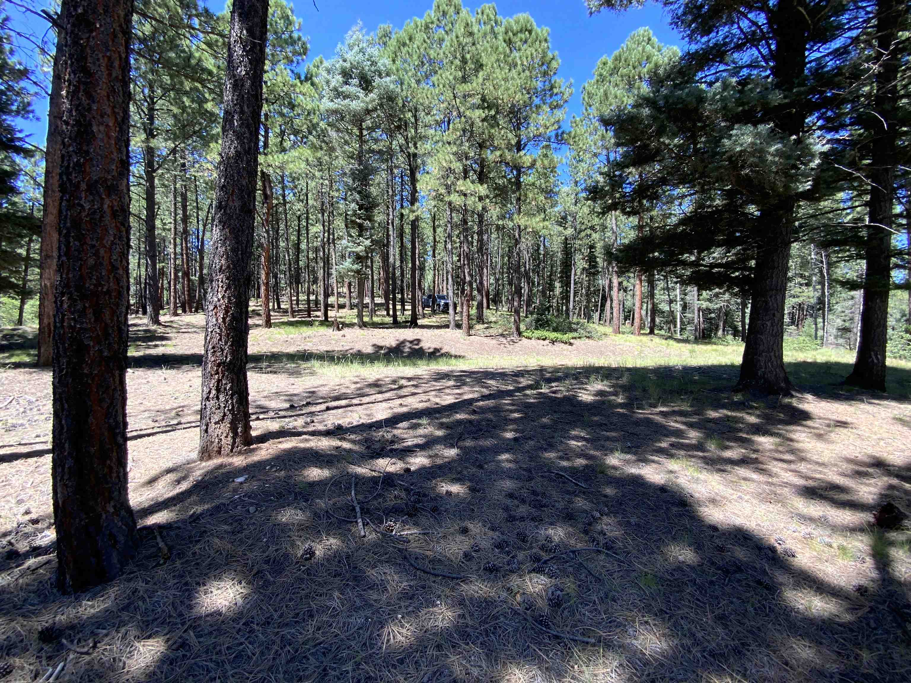 Lot 22 Taos Pines Ranch Rd, Angel Fire, New Mexico image 7