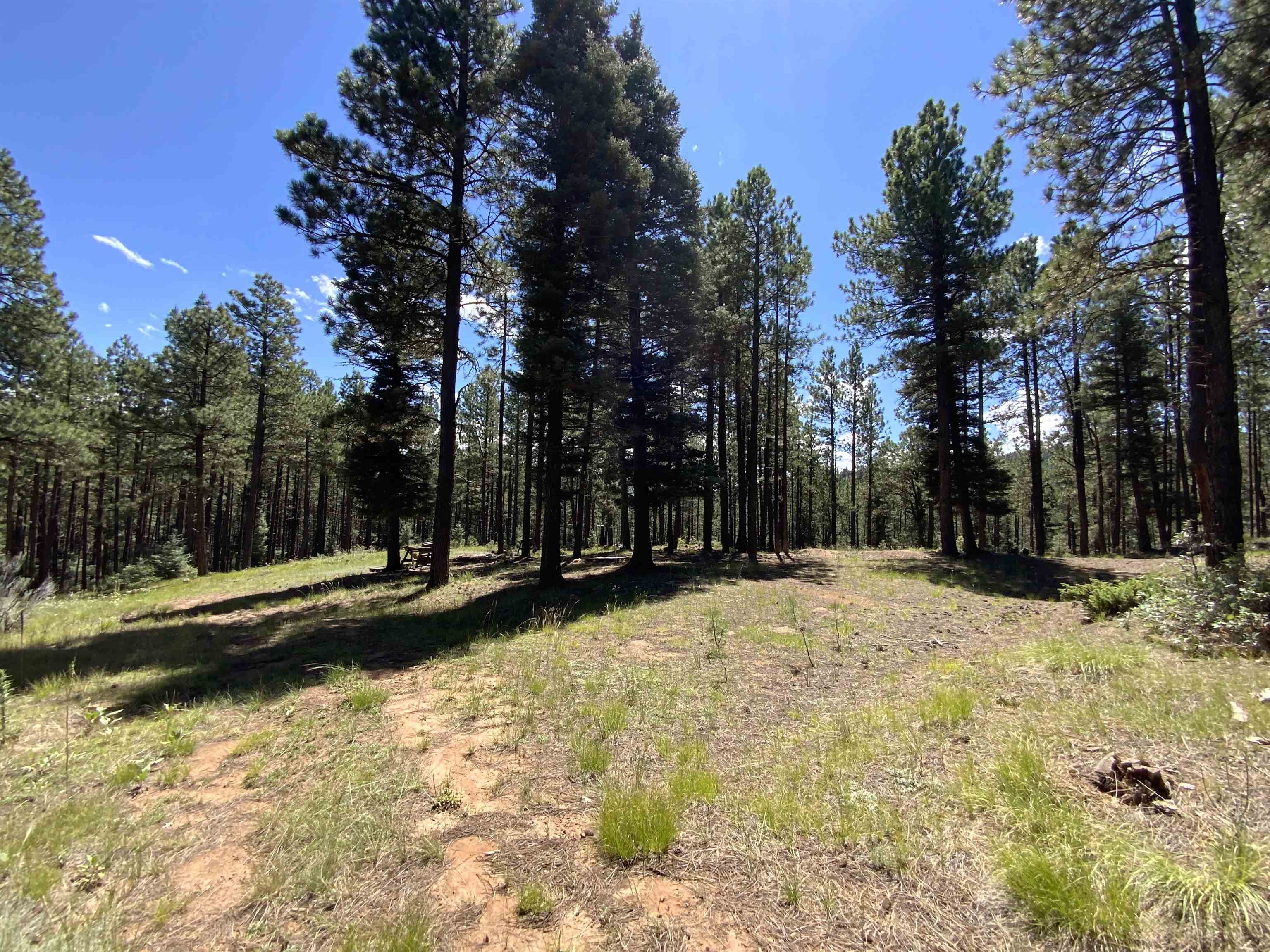 Lot 22 Taos Pines Ranch Rd, Angel Fire, New Mexico image 6